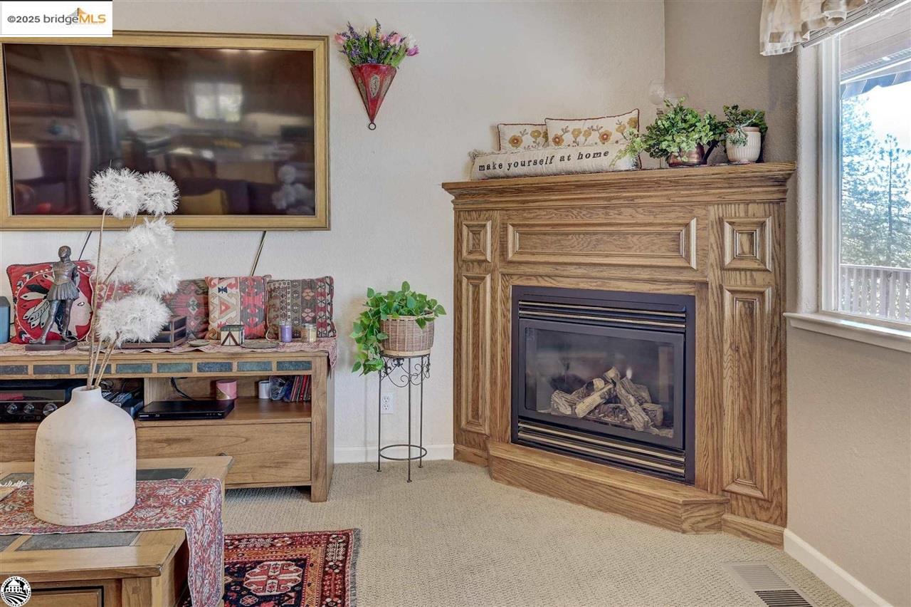 Detail Gallery Image 26 of 48 For 494 Larkspur Ct., Murphys,  CA 95247-9480 - 4 Beds | 3 Baths