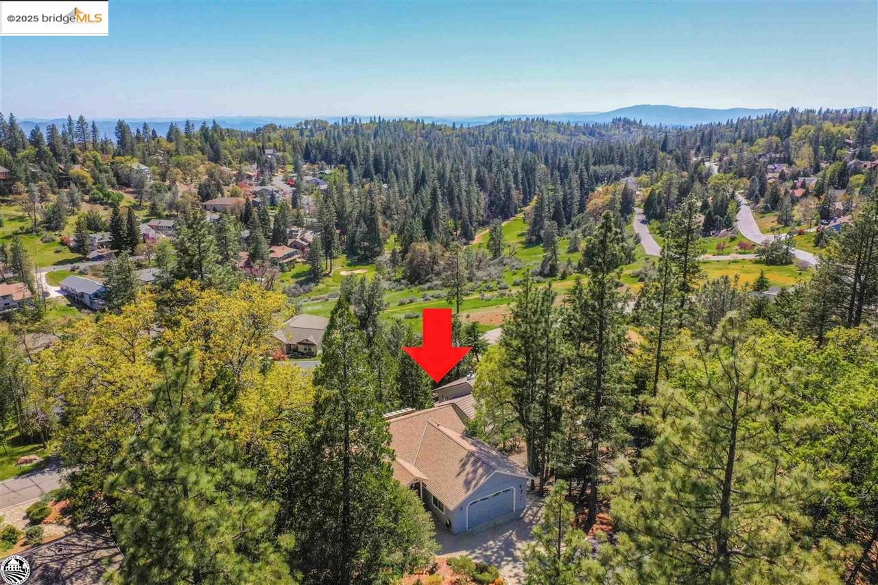 Detail Gallery Image 10 of 48 For 494 Larkspur Ct., Murphys,  CA 95247-9480 - 4 Beds | 3 Baths
