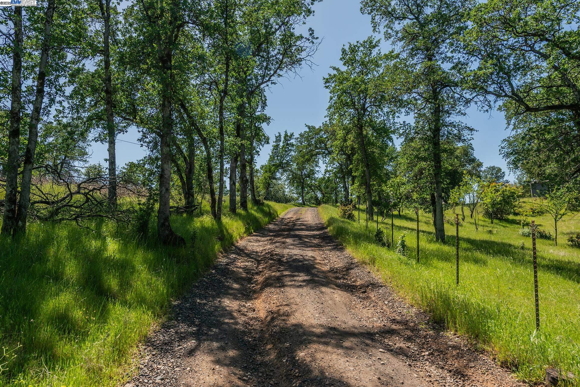 Detail Gallery Image 40 of 59 For 21679 Squaw Grass Trail, Redding,  CA 96003 - 3 Beds | 2 Baths