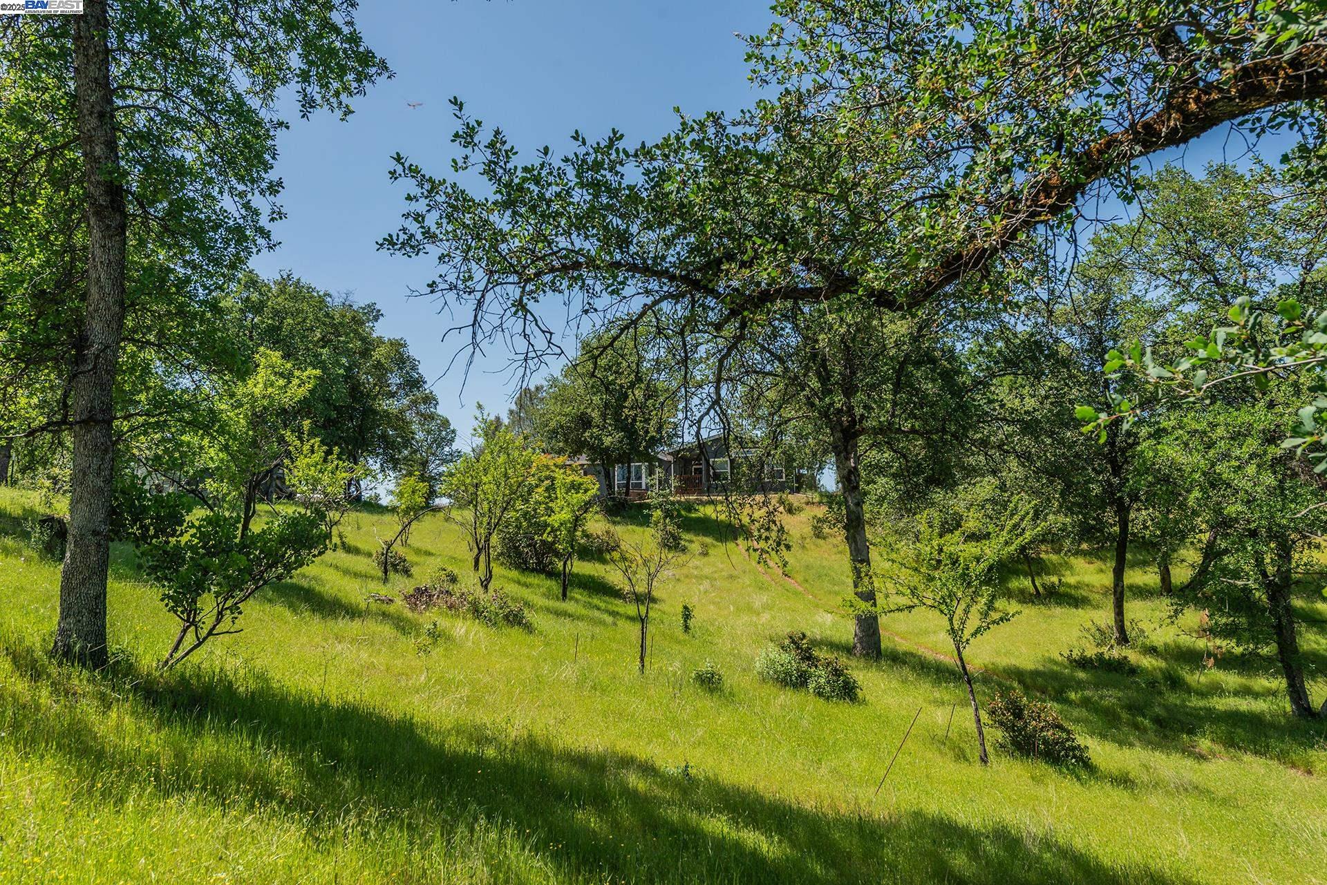 Detail Gallery Image 41 of 59 For 21679 Squaw Grass Trail, Redding,  CA 96003 - 3 Beds | 2 Baths
