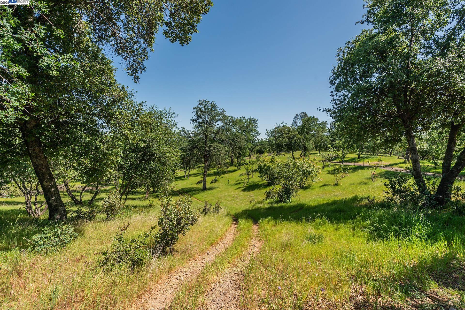 Detail Gallery Image 52 of 59 For 21679 Squaw Grass Trail, Redding,  CA 96003 - 3 Beds | 2 Baths