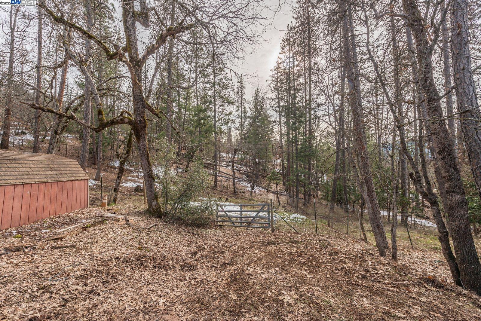 Detail Gallery Image 32 of 41 For 590 Brooks Ln, Weaverville,  CA 96093 - 3 Beds | 2 Baths