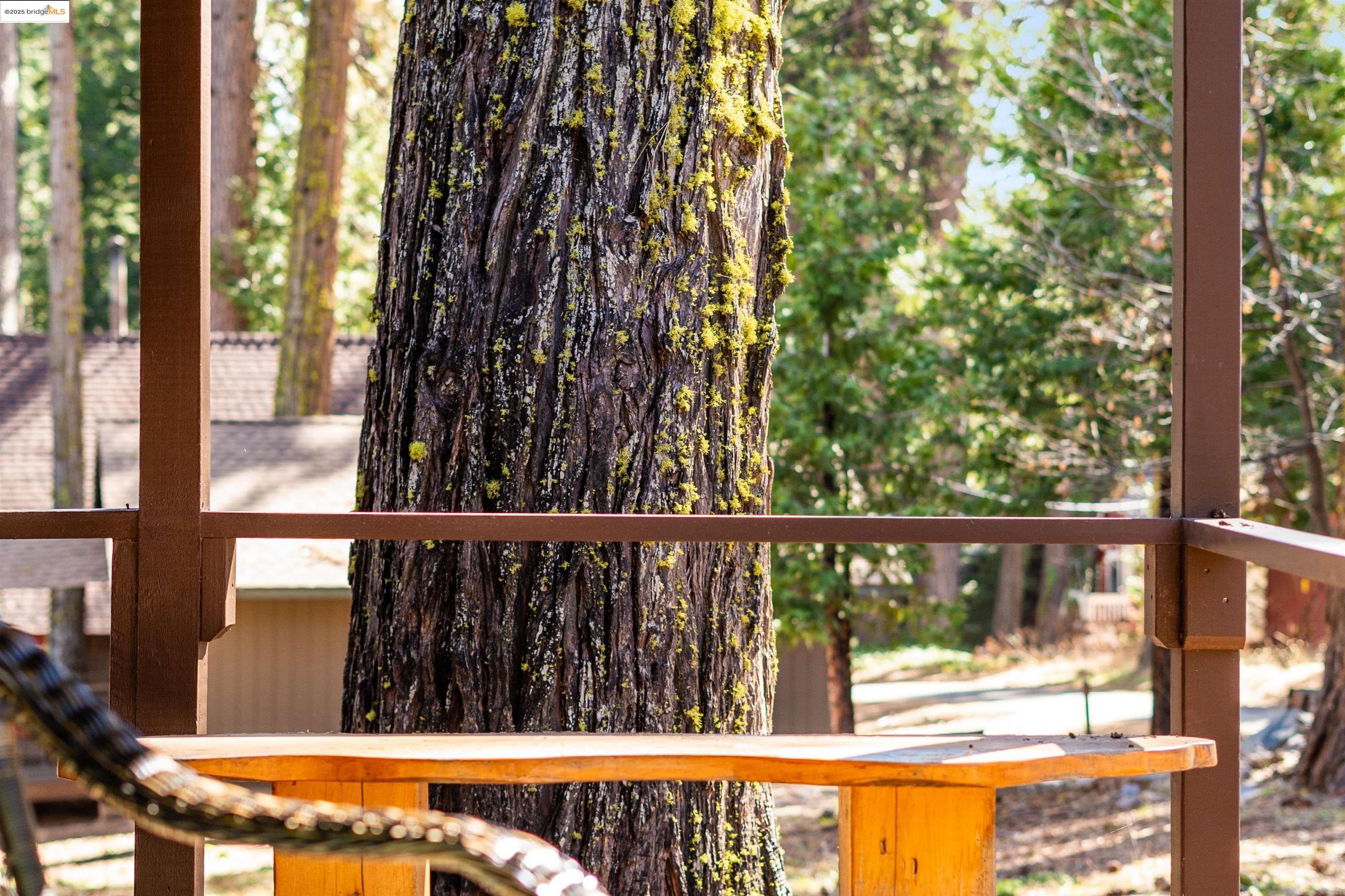 Detail Gallery Image 7 of 40 For 25931 Scenic Dr, Long Barn,  CA 95335 - 2 Beds | 1 Baths