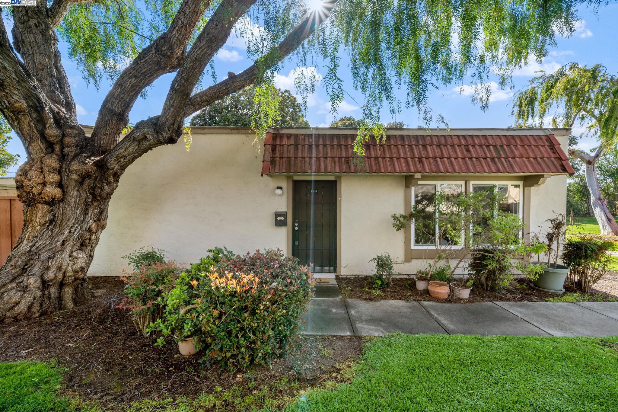 More Details about MLS # 41088610 : 4304 LENOSO CMN