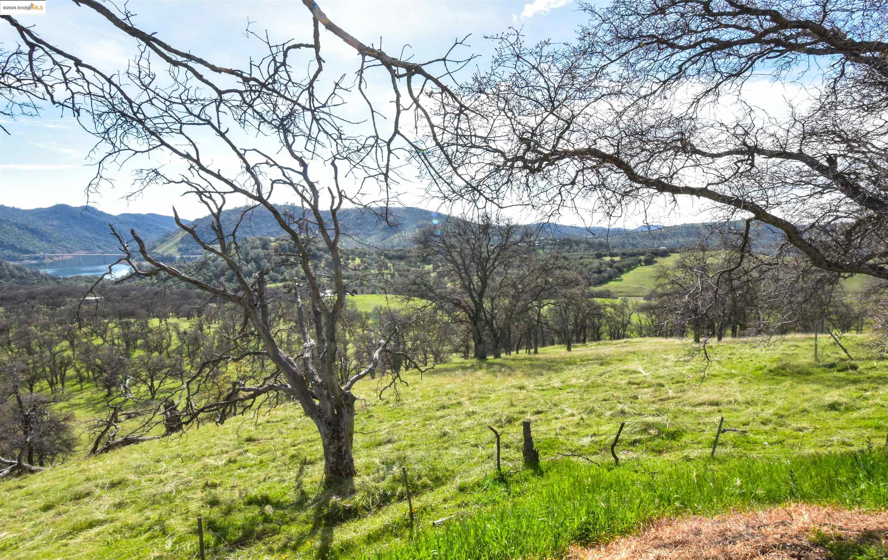 Detail Gallery Image 36 of 50 For 13300 Lone Bend Rd, Jamestown,  CA 95327 - 3 Beds | 2 Baths
