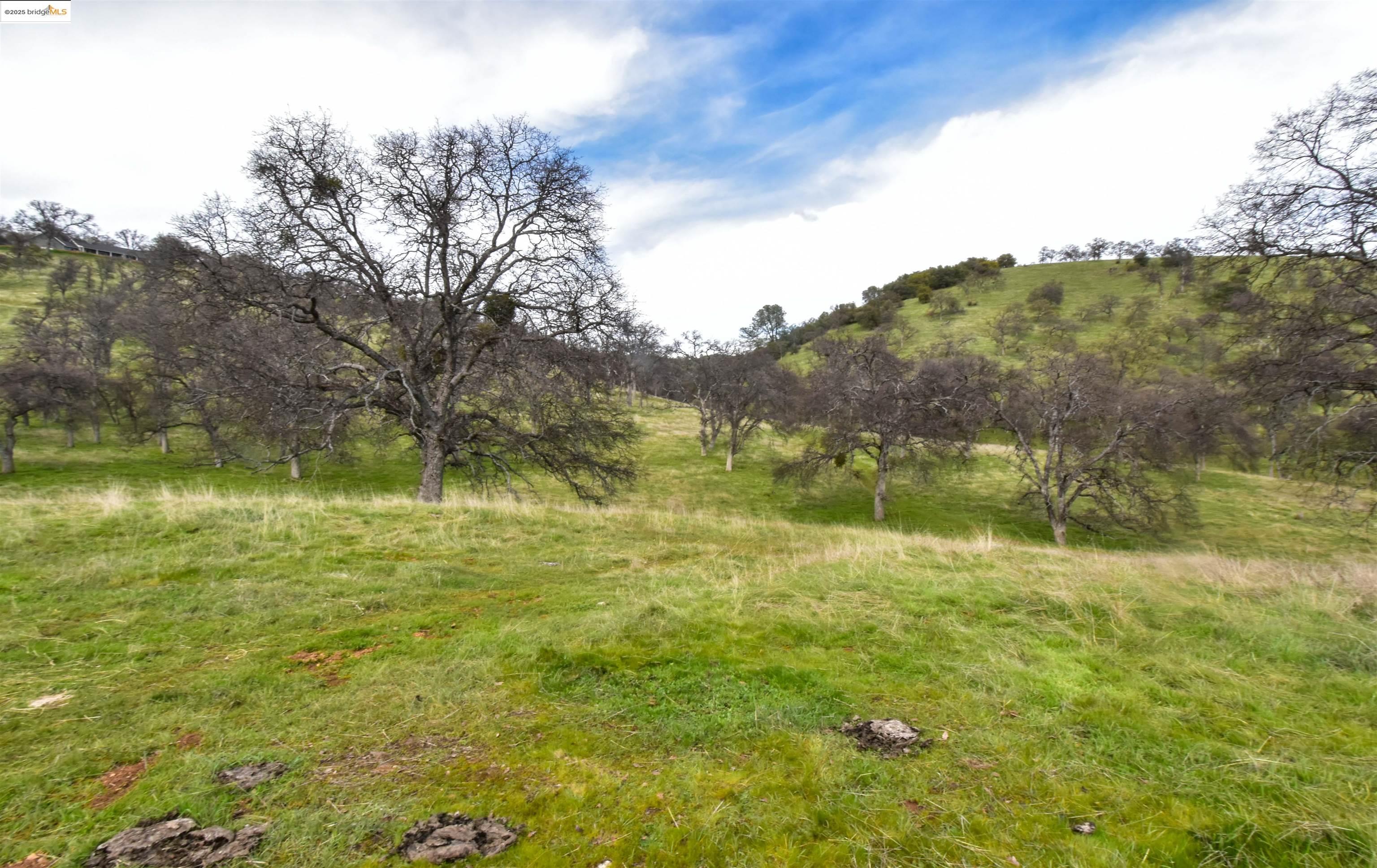 Detail Gallery Image 43 of 50 For 13300 Lone Bend Rd, Jamestown,  CA 95327 - 3 Beds | 2 Baths