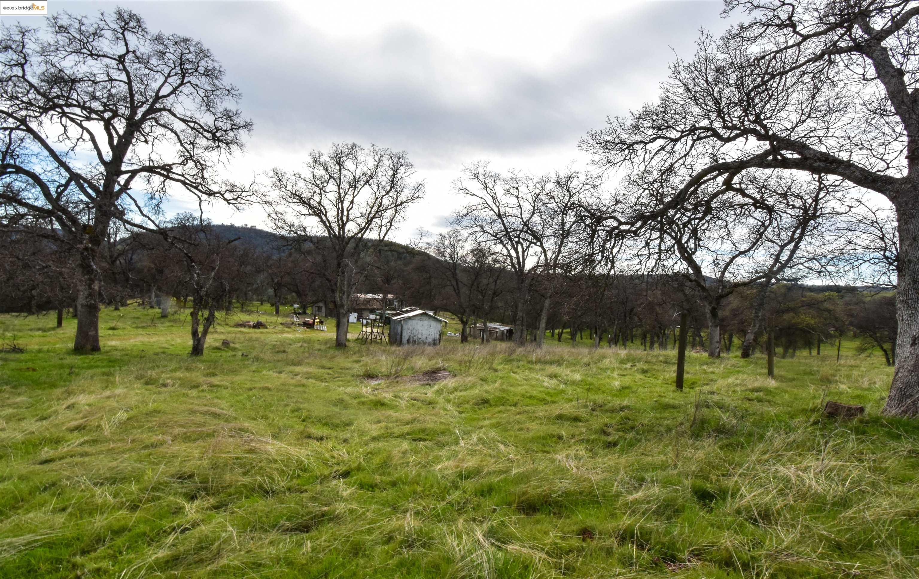 Detail Gallery Image 45 of 50 For 13300 Lone Bend Rd, Jamestown,  CA 95327 - 3 Beds | 2 Baths