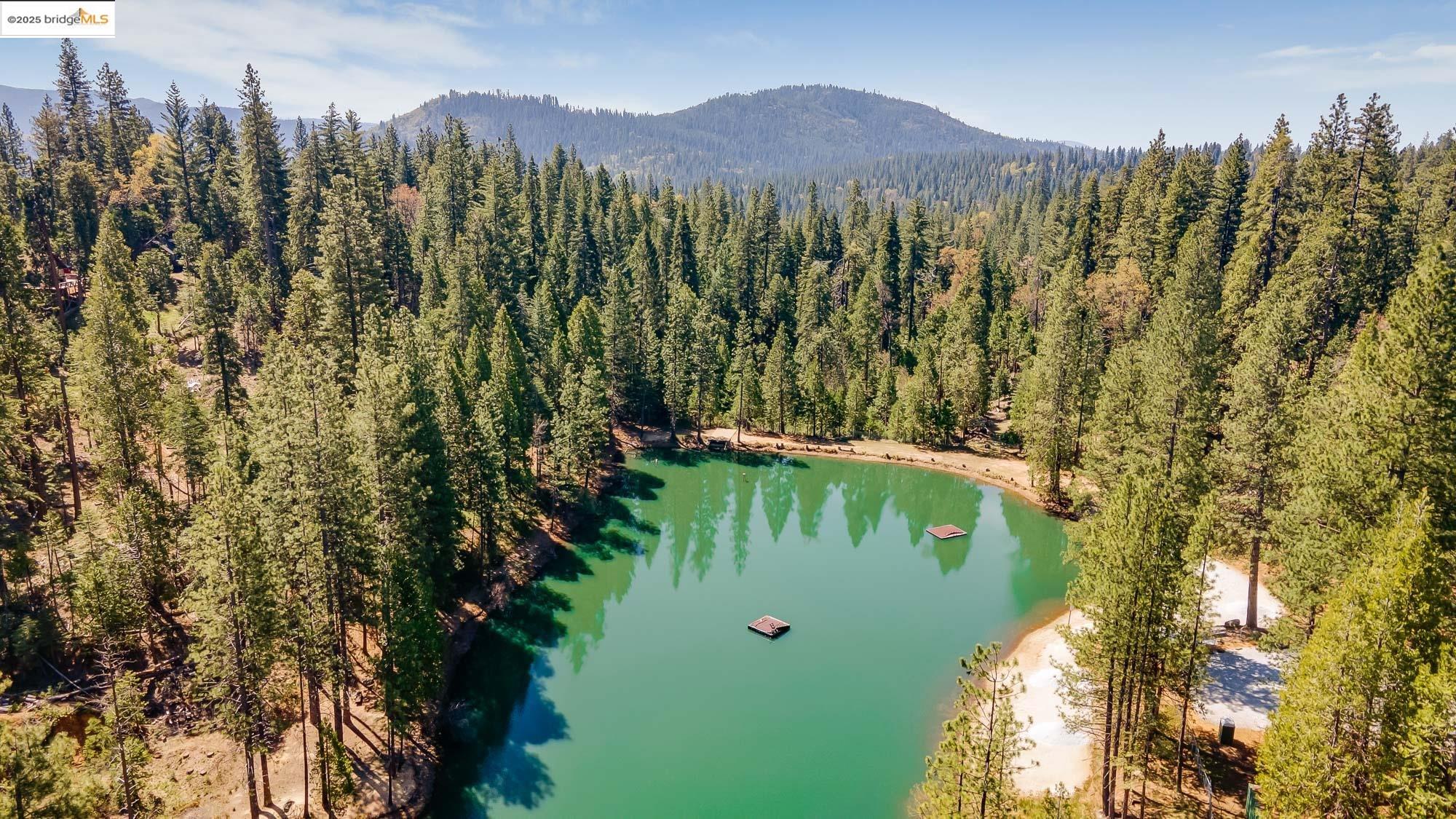 Detail Gallery Image 45 of 53 For 24315 Sugarpine Road, Twain Harte,  CA 95383 - 3 Beds | 1/2 Baths