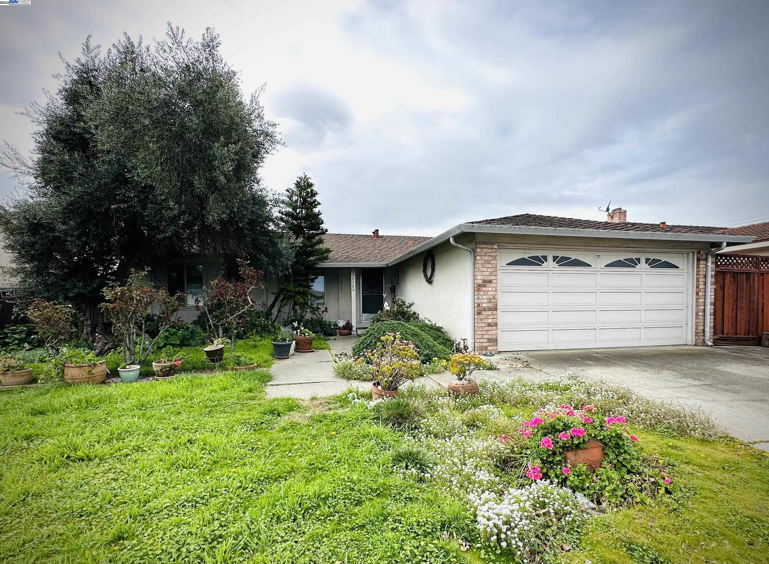 Detail Gallery Image 1 of 1 For 34709 Clover St, Union City,  CA 94587 - 3 Beds | 2 Baths