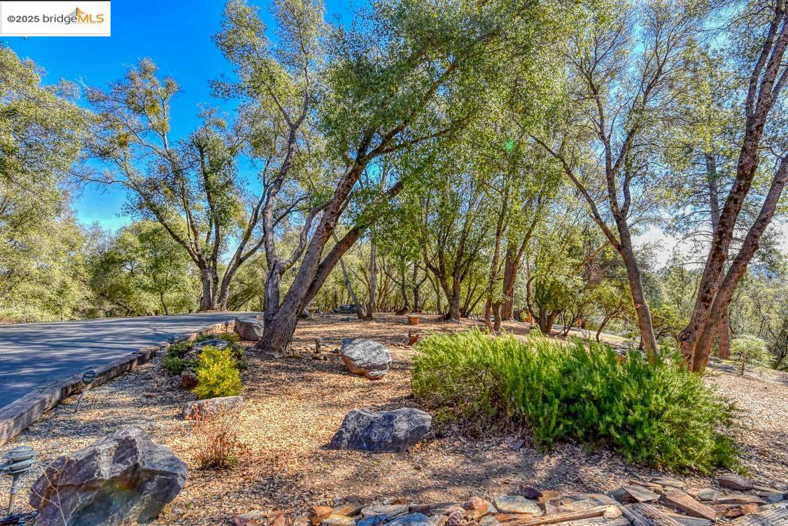 Detail Gallery Image 3 of 48 For 20591 Chaparral, Groveland,  CA 95321-8508 - 3 Beds | 3/1 Baths
