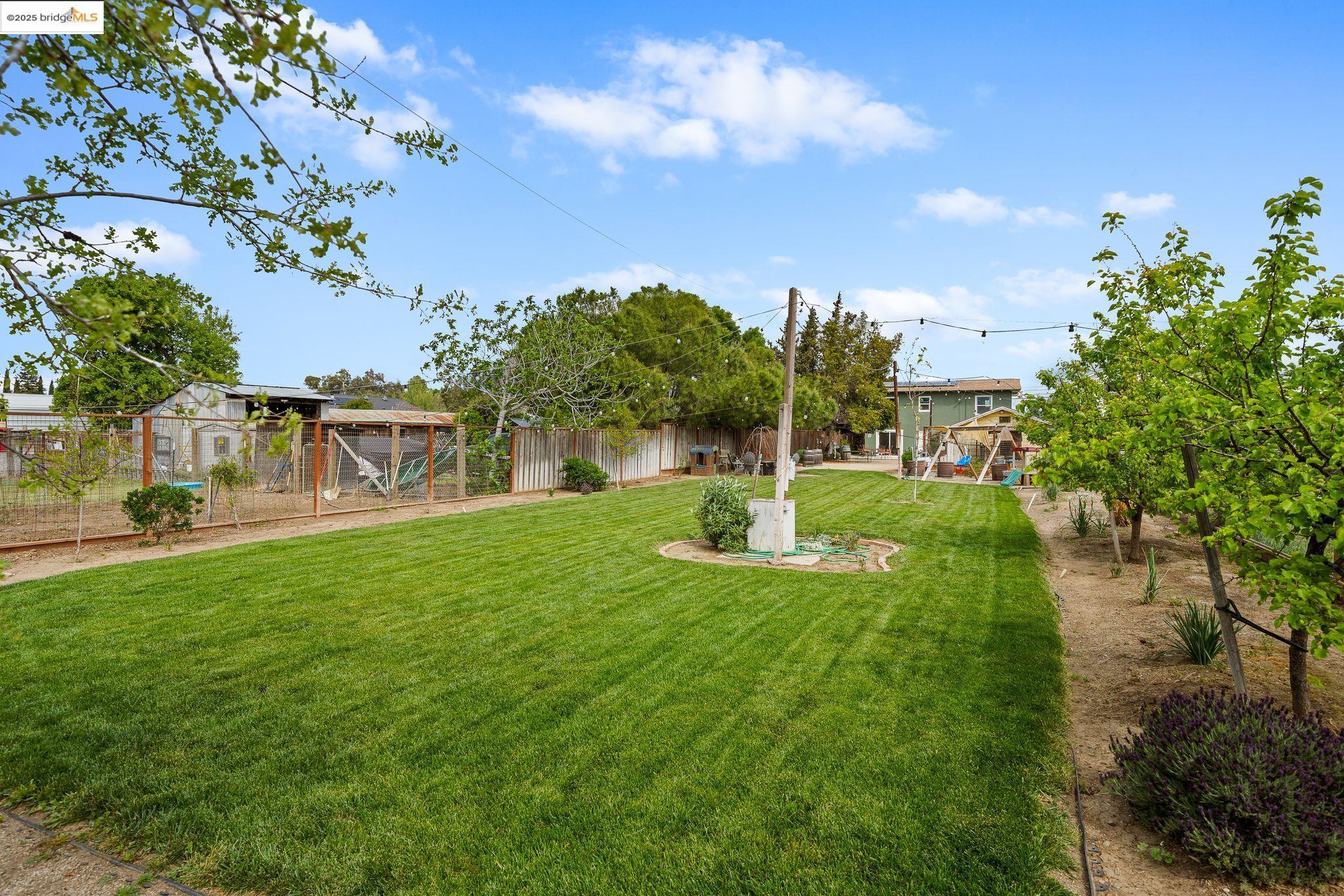Detail Gallery Image 40 of 53 For 2912 Camino Diablo, Byron,  CA 94514 - 3 Beds | 2 Baths