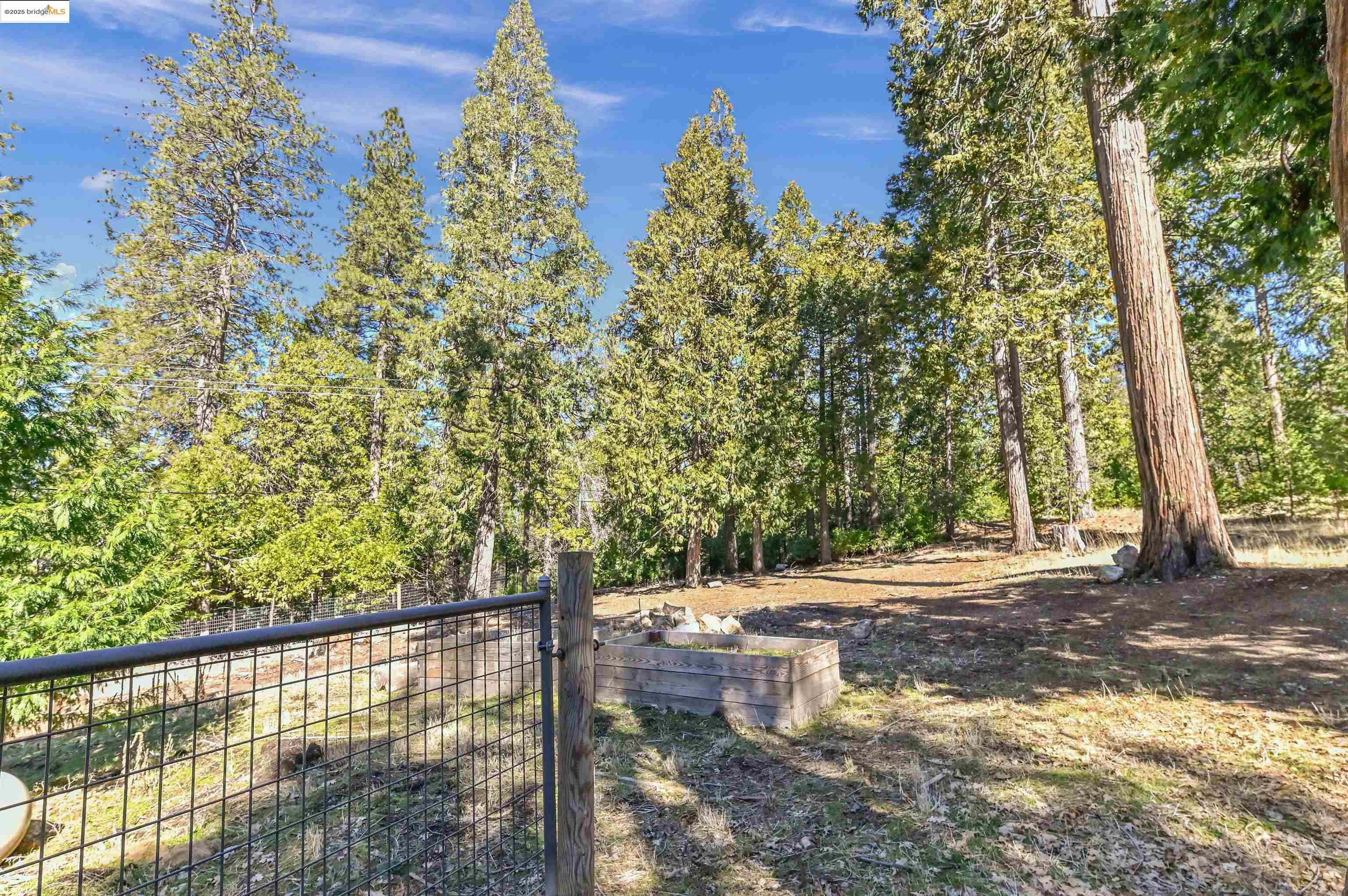Detail Gallery Image 7 of 38 For 23745 Confidence South Fork, Twain Harte,  CA 95370 - 3 Beds | 2 Baths