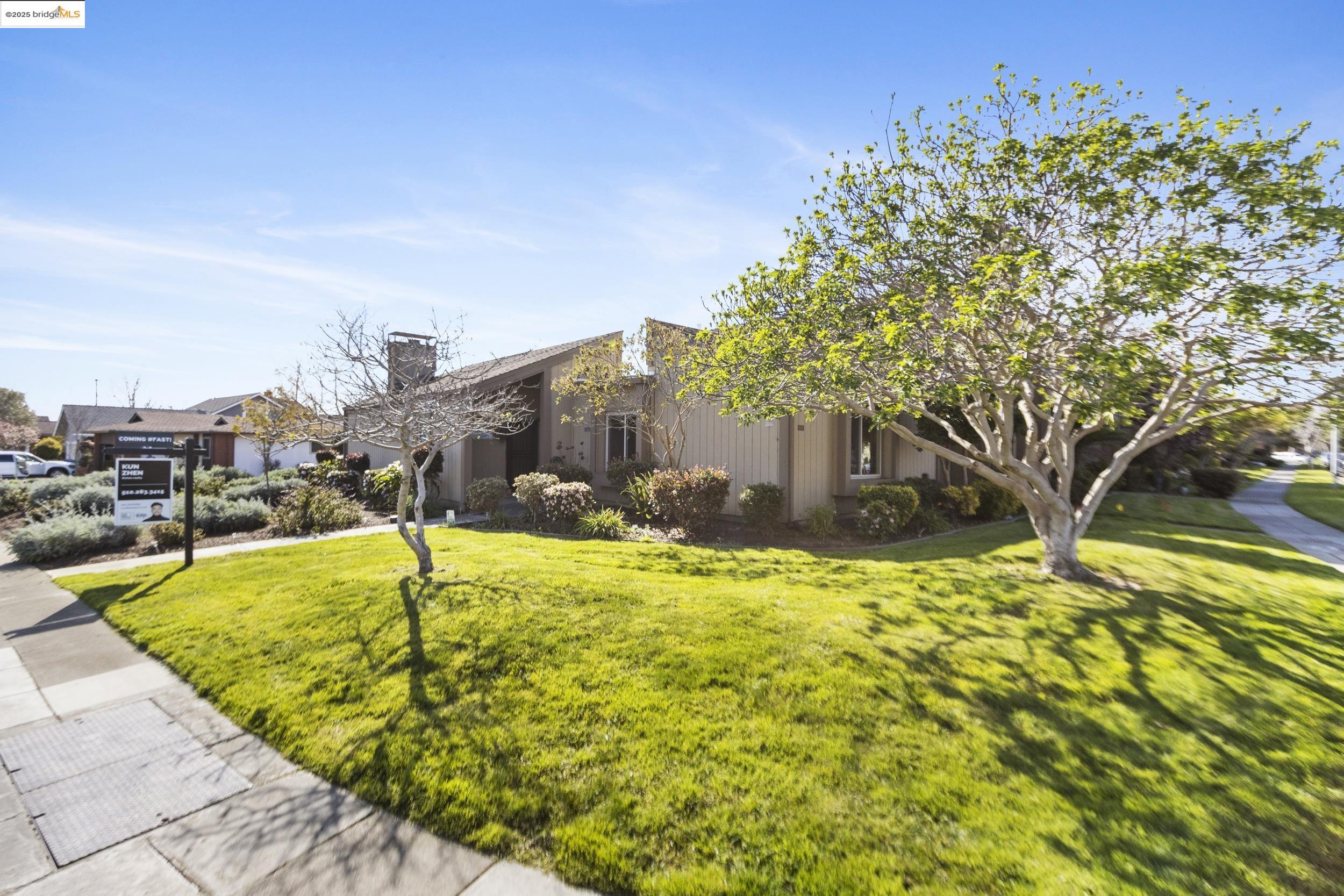 Photo #2: 41089242 Listing 