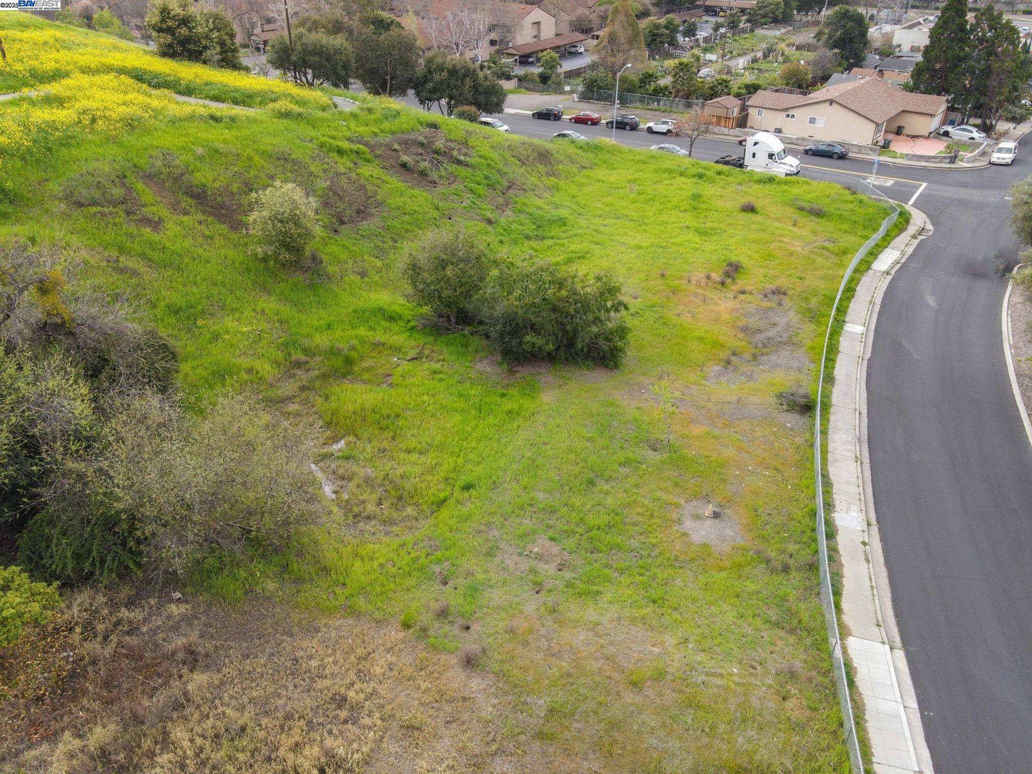 217 Appian Way, Union City, California 94587, ,Land,For Sale,217 Appian Way,41089416