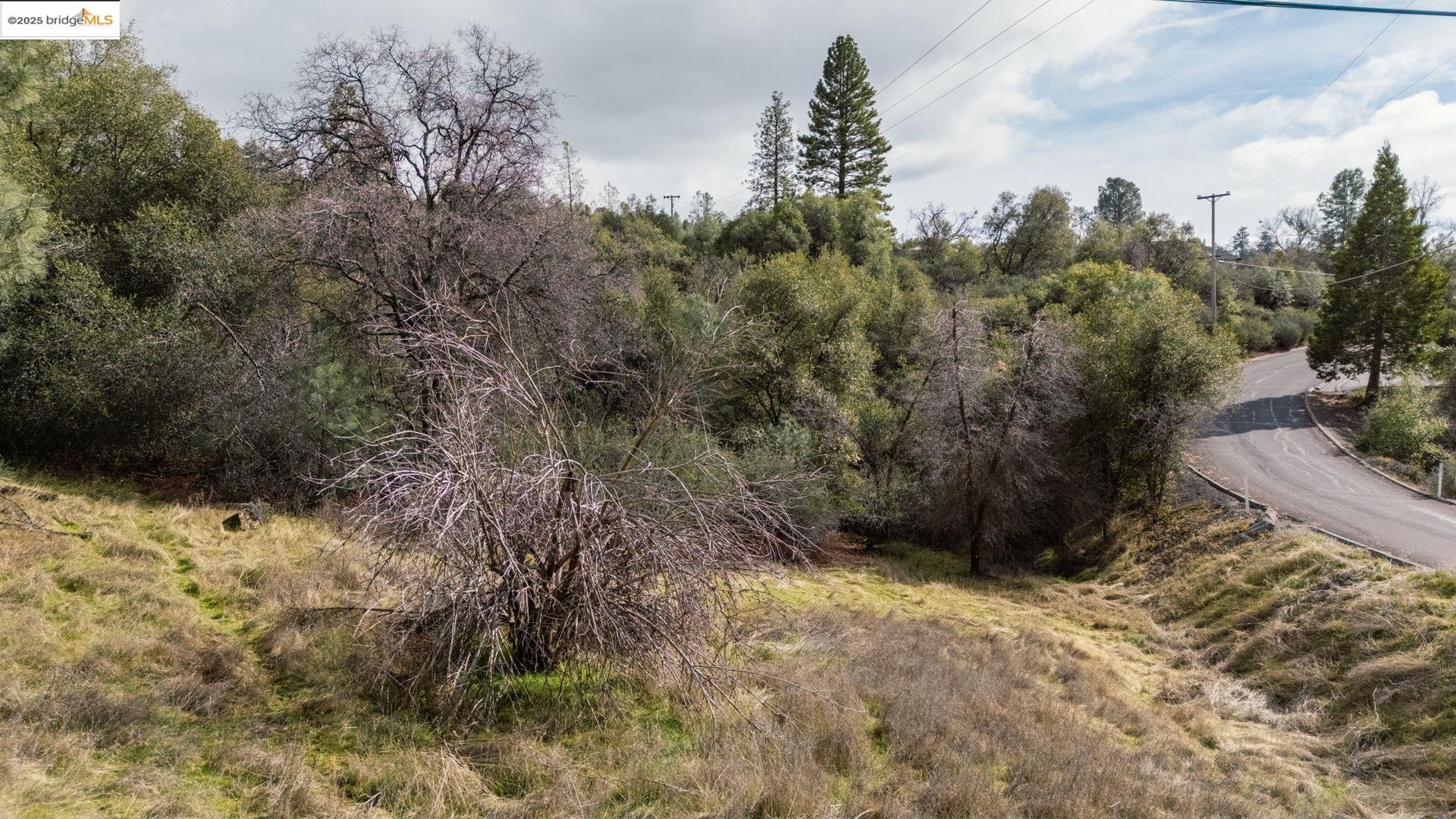 Detail Gallery Image 2 of 14 For 15870 Crestridge Ave, Sonora,  CA 95370 - – Beds | – Baths