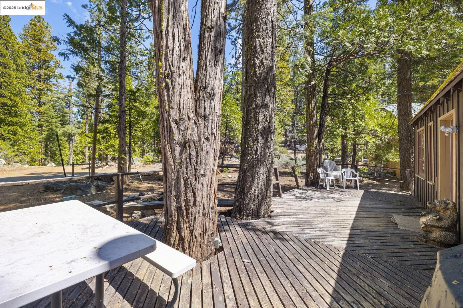 Detail Gallery Image 17 of 24 For 173 Cliff, Pinecrest,  CA 95364 - 2 Beds | 1 Baths