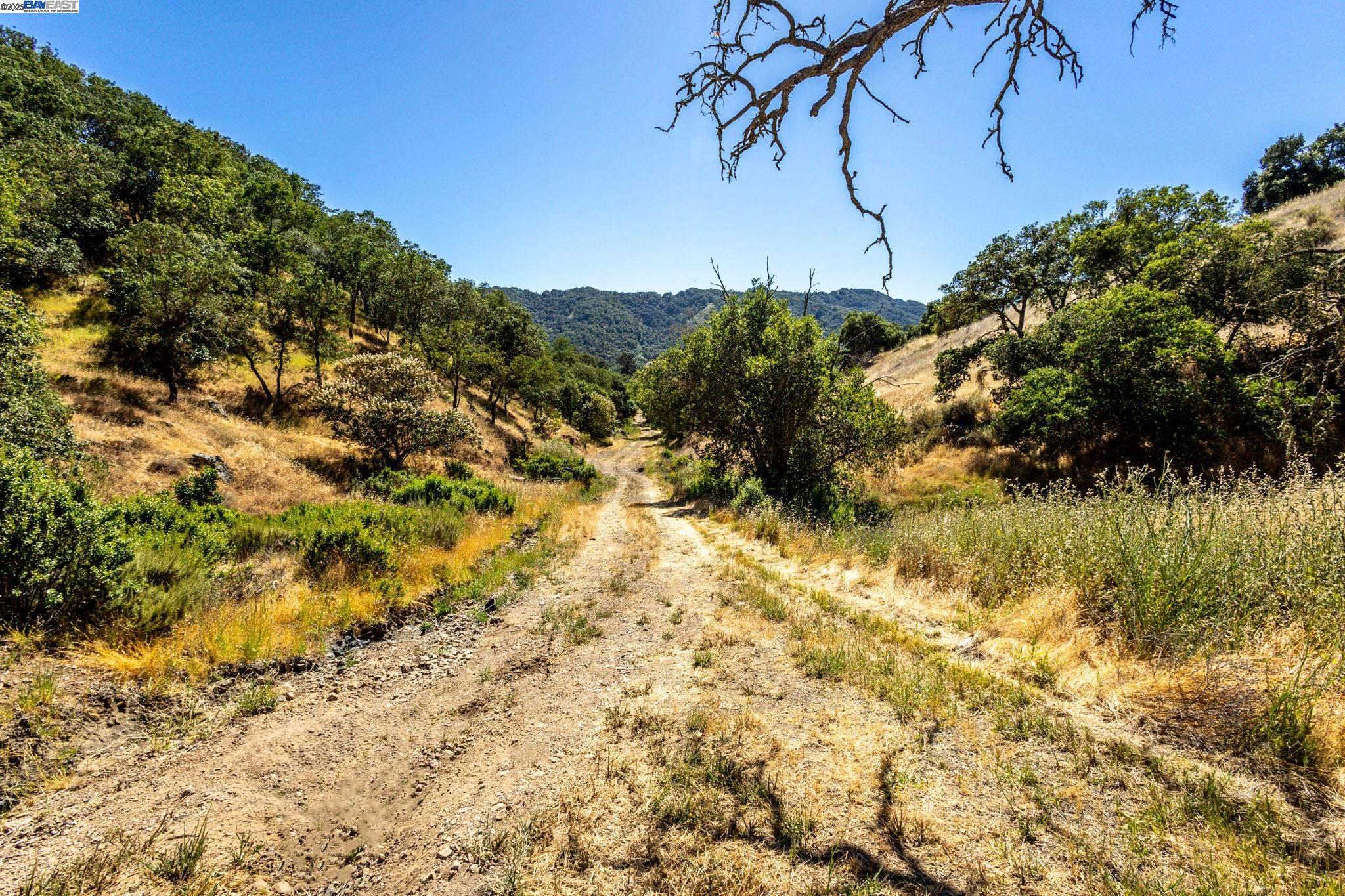 Detail Gallery Image 28 of 45 For 0 Oak Glen Ave, Morgan Hill,  CA 95037 - – Beds | – Baths
