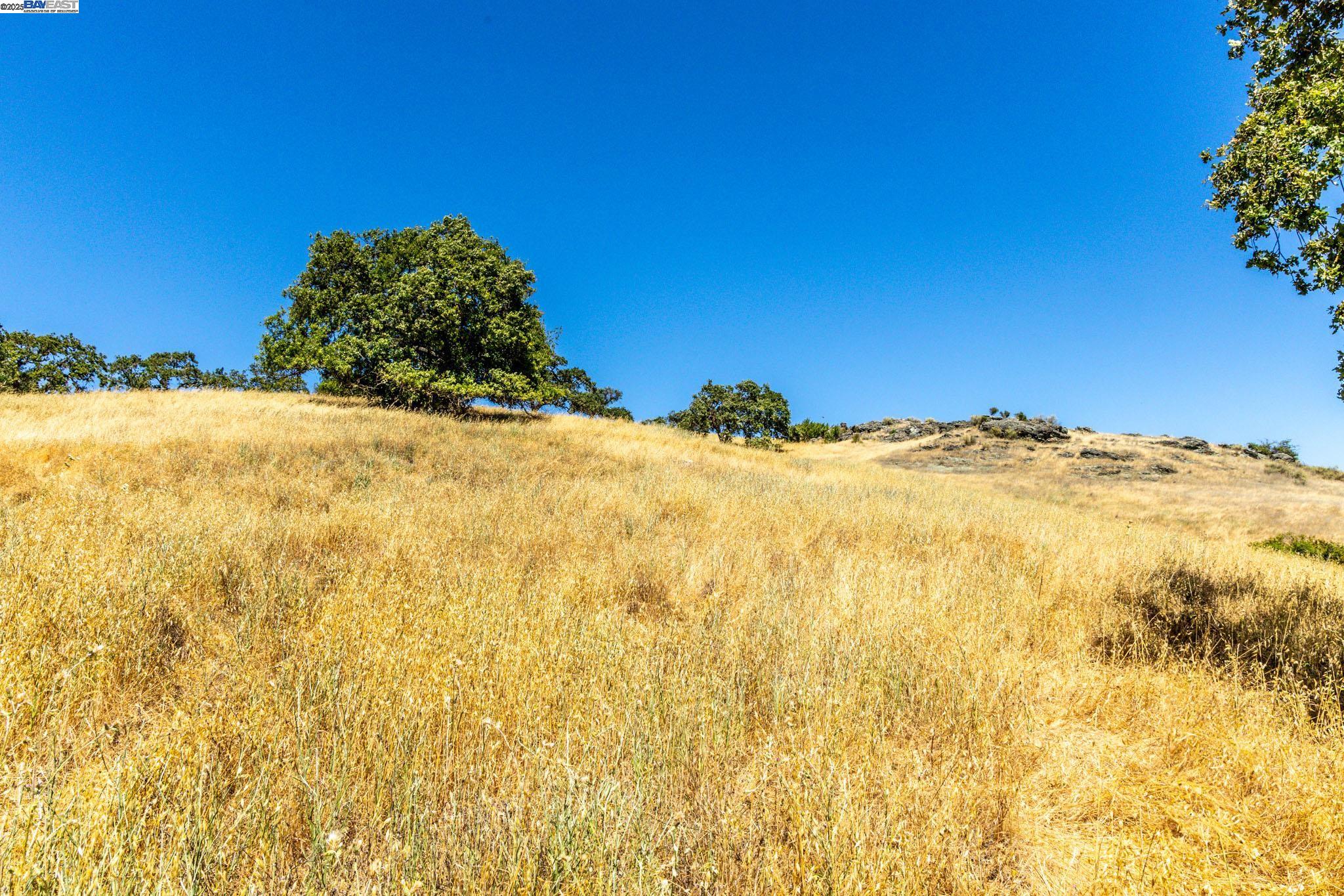 Detail Gallery Image 41 of 45 For 0 Oak Glen Ave, Morgan Hill,  CA 95037 - – Beds | – Baths