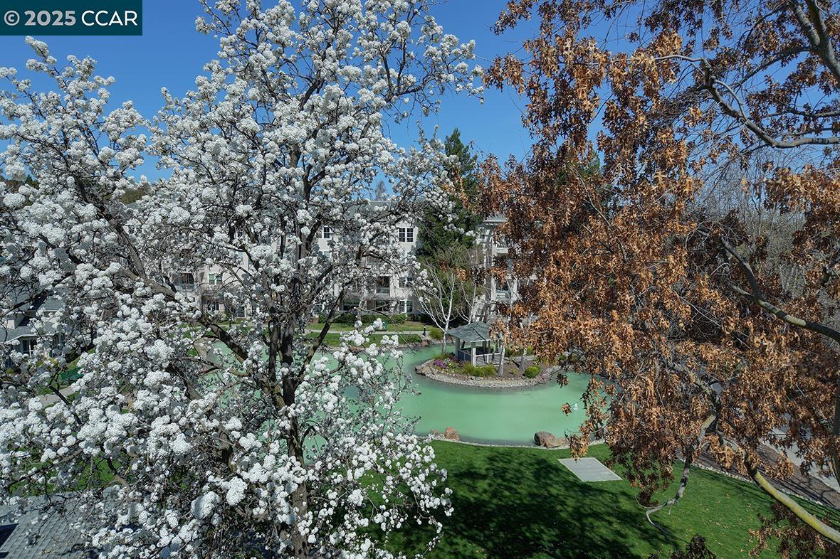 Browse active condo listings in WATERFORD