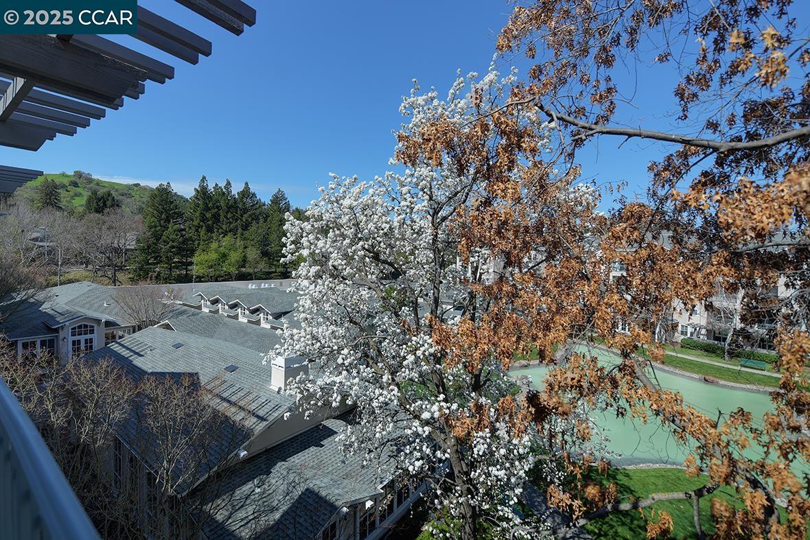 Photo #5: 41089637 Listing 