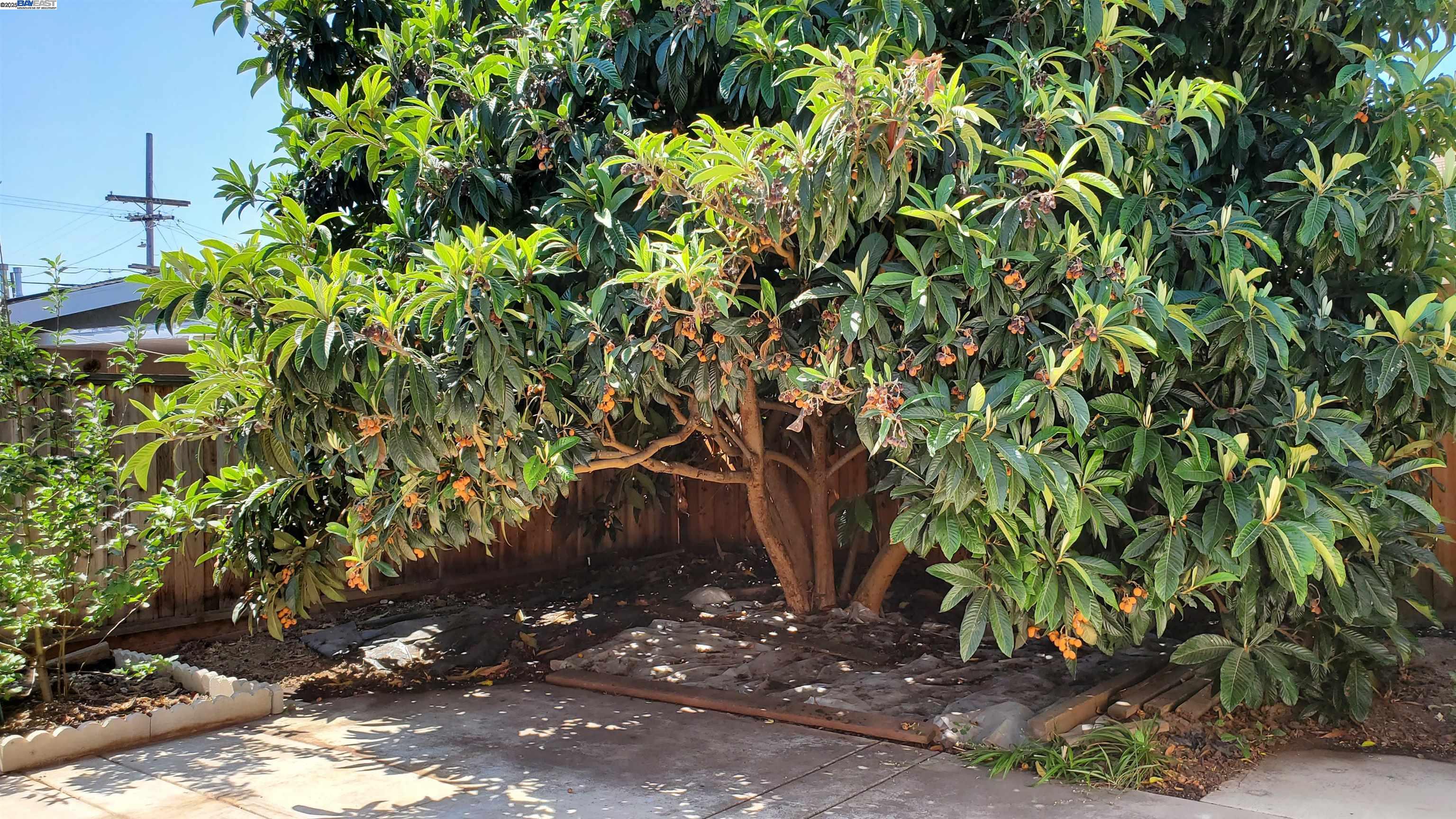 Detail Gallery Image 10 of 39 For 4186 Hawkins St, Fremont,  CA 94538 - 4 Beds | 2 Baths
