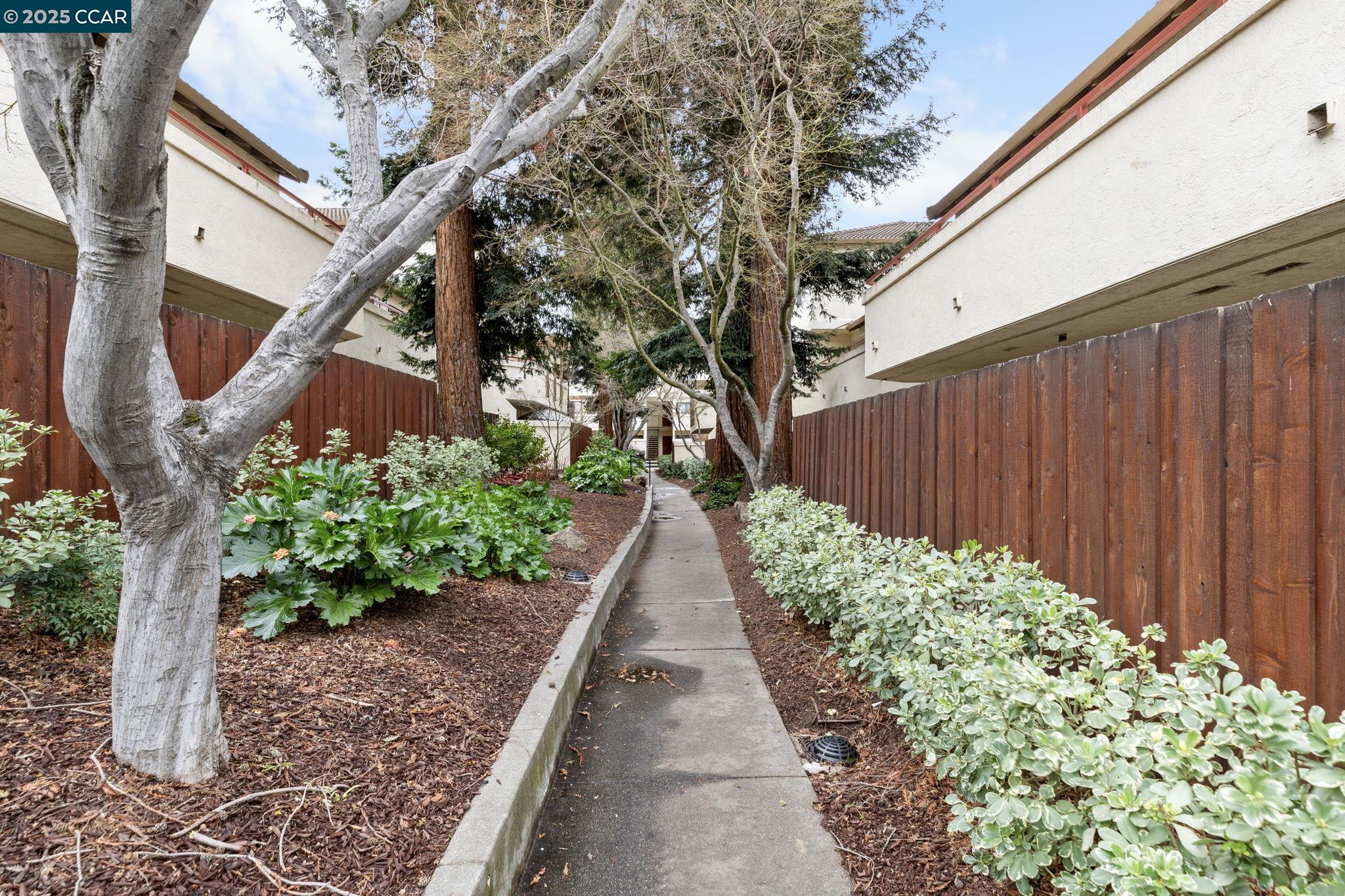 Photo #40: 41089691 Listing: Photo #40