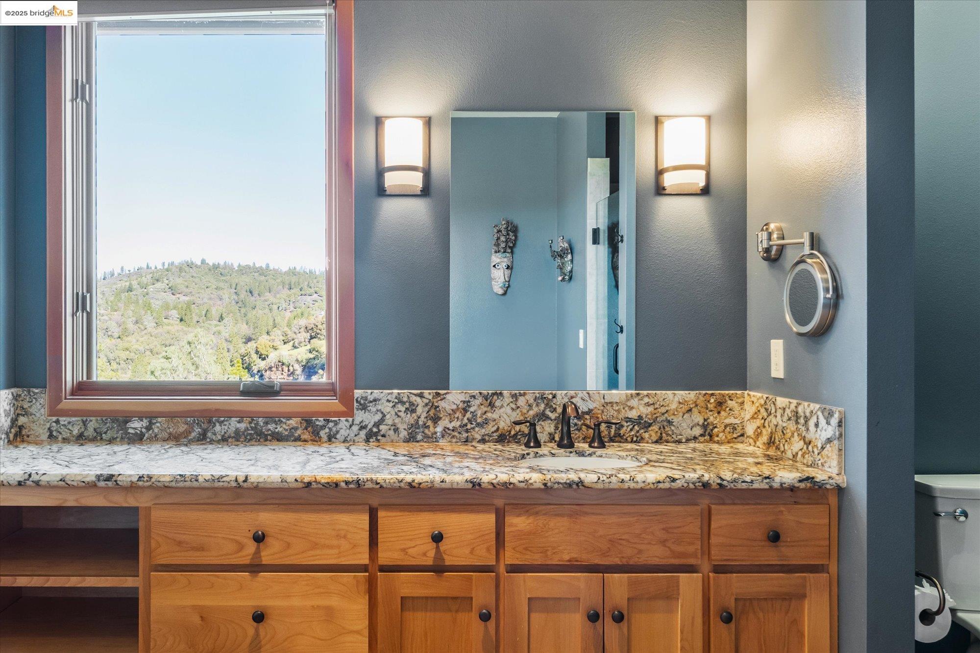Detail Gallery Image 21 of 59 For 3204 Skunk Ranch Rd, Murphys,  CA 95247 - 4 Beds | 4/1 Baths