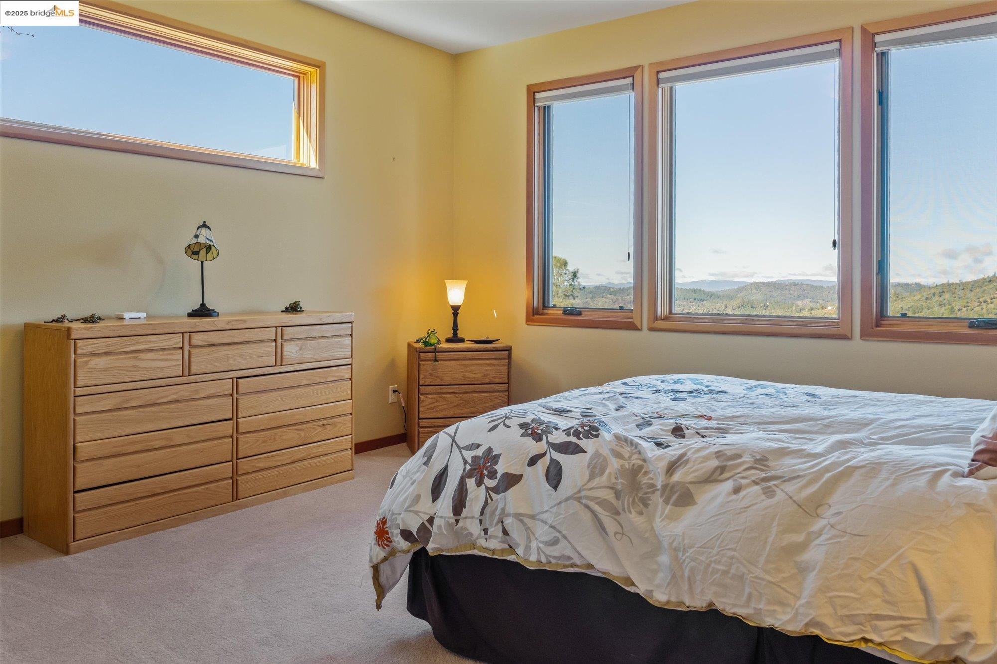 Detail Gallery Image 23 of 59 For 3204 Skunk Ranch Rd, Murphys,  CA 95247 - 4 Beds | 4/1 Baths