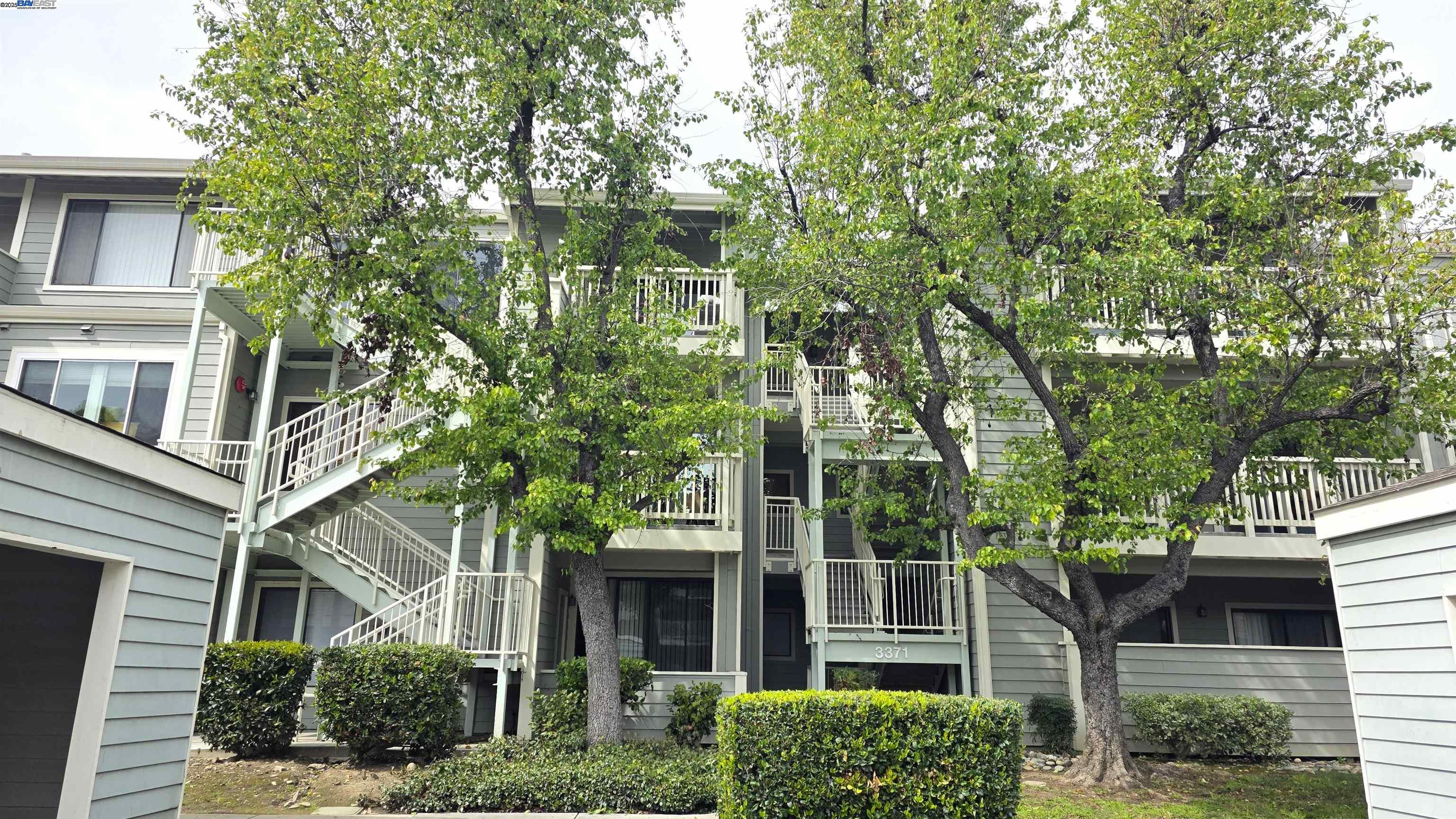 Photo #33: 41090119 Listing: Photo #33