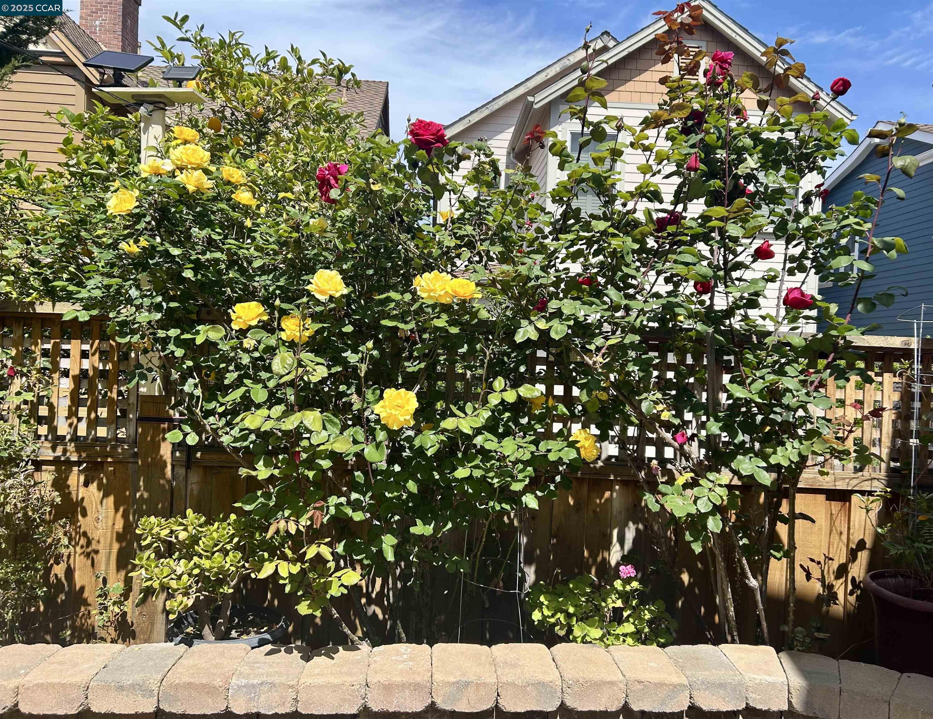 Detail Gallery Image 37 of 60 For 2036 Serra Ln, Hercules,  CA 94547 - 4 Beds | 2/1 Baths