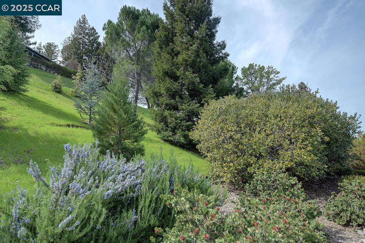 Photo #3: 41090247 Listing 