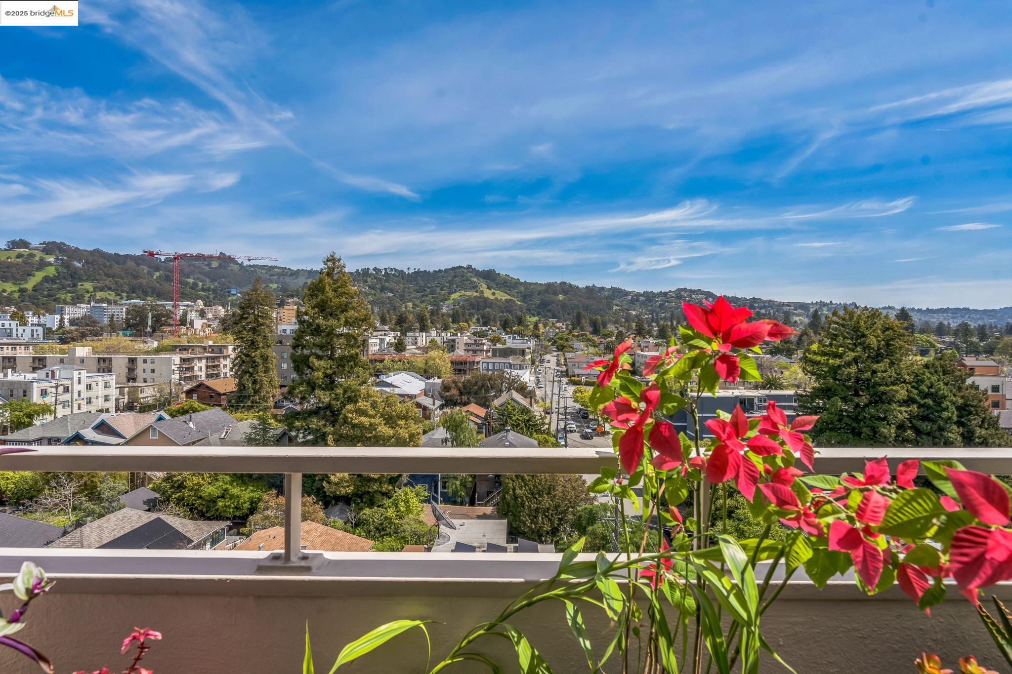 Photo #3: 41090377 Listing 