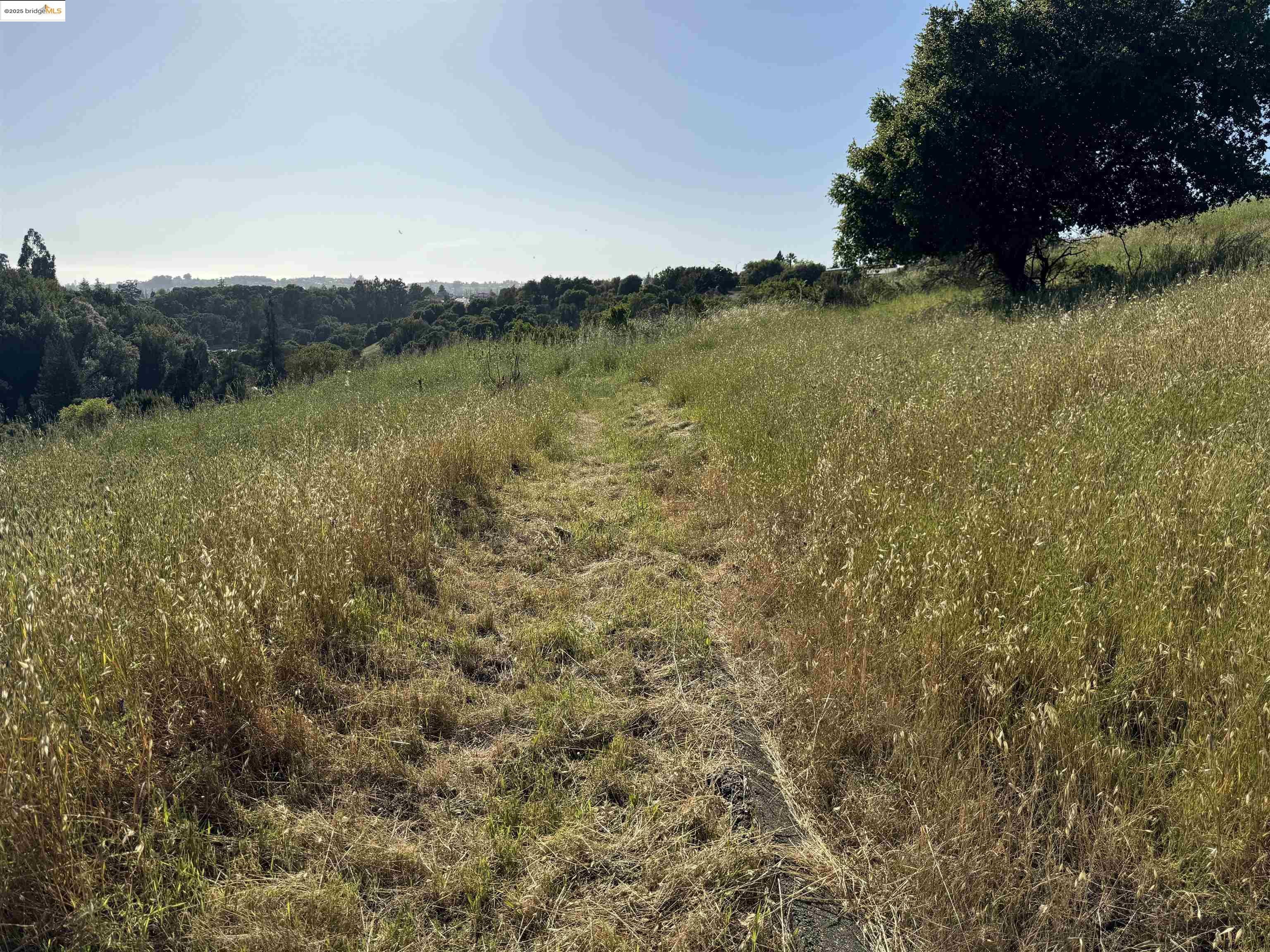 Detail Gallery Image 22 of 30 For 0 Greenridge, Castro Valley,  CA 94552 - – Beds | – Baths