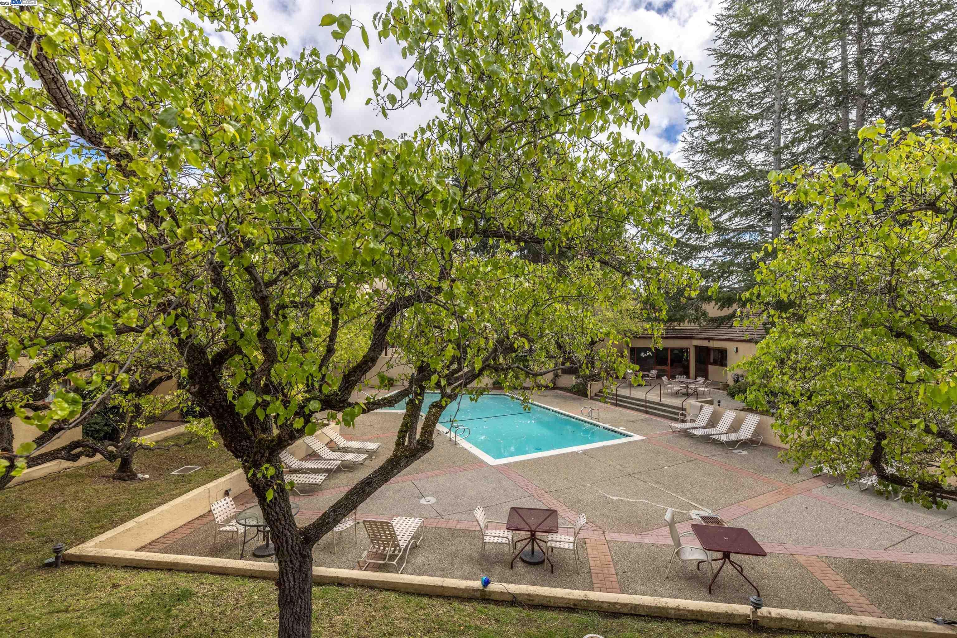 Photo #12: 41090691 Listing: Photo #12