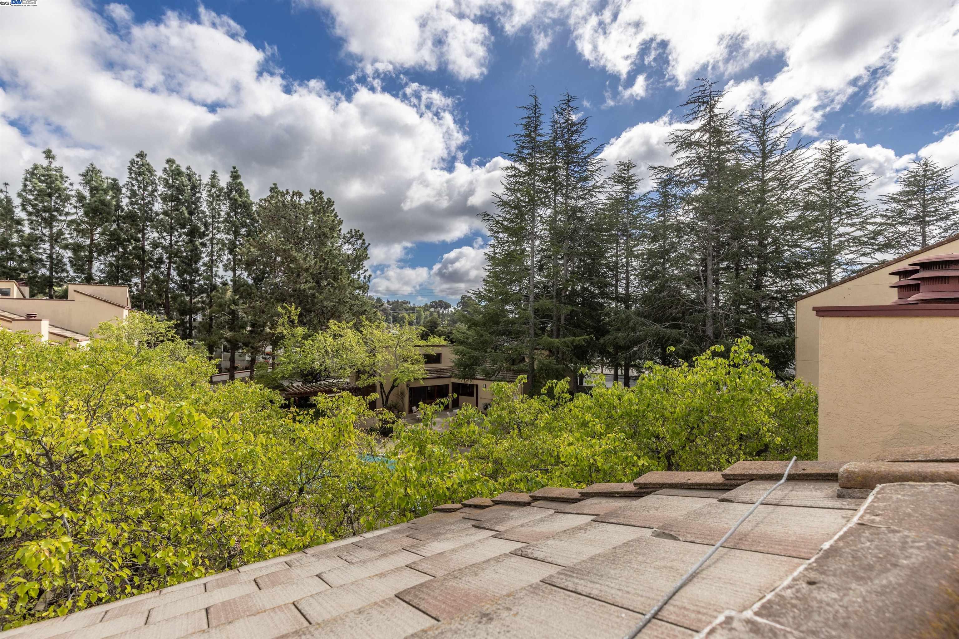 Photo #31: 41090691 Listing: Photo #31