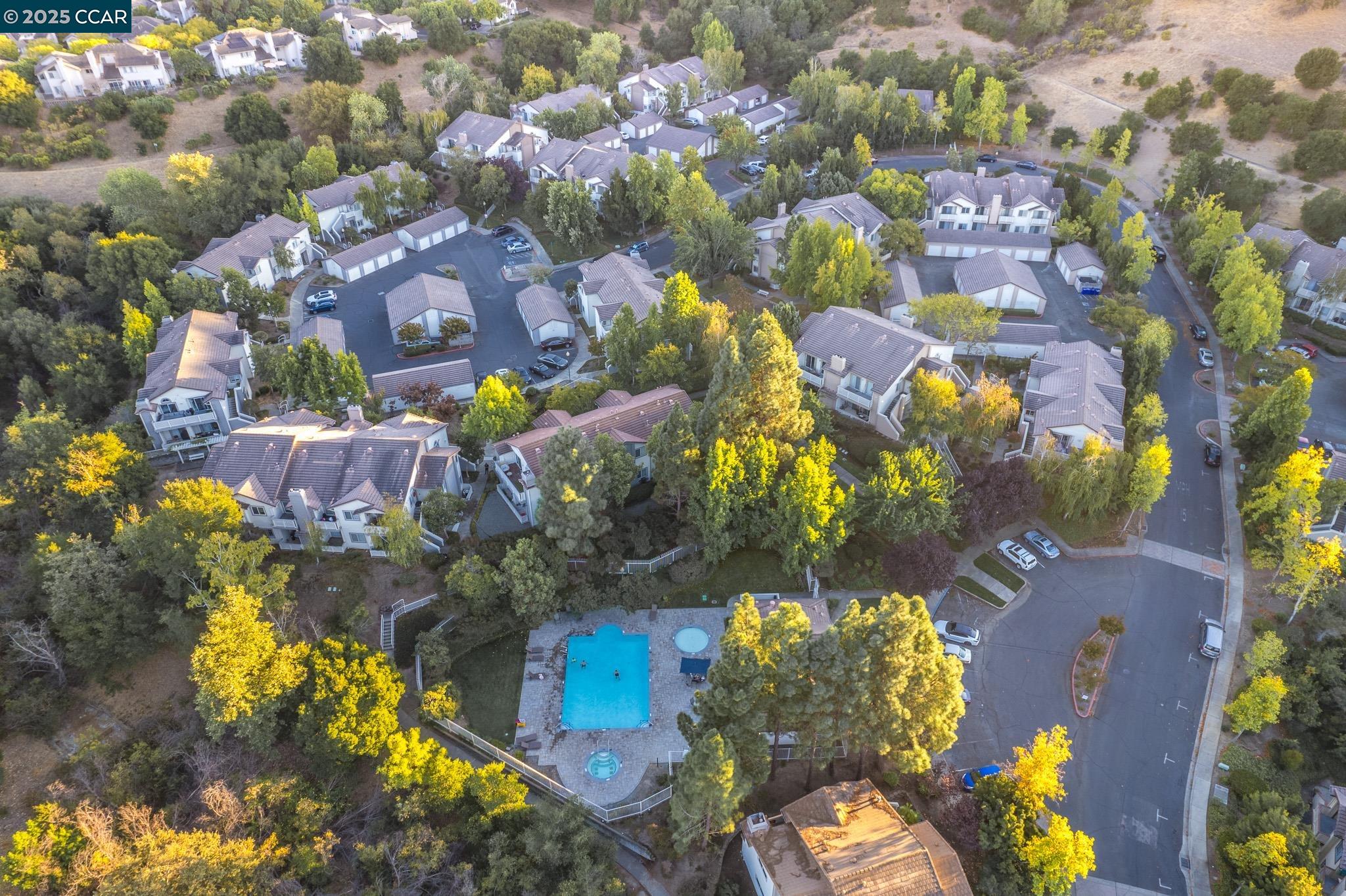 Photo #4: 41090817 Listing 
