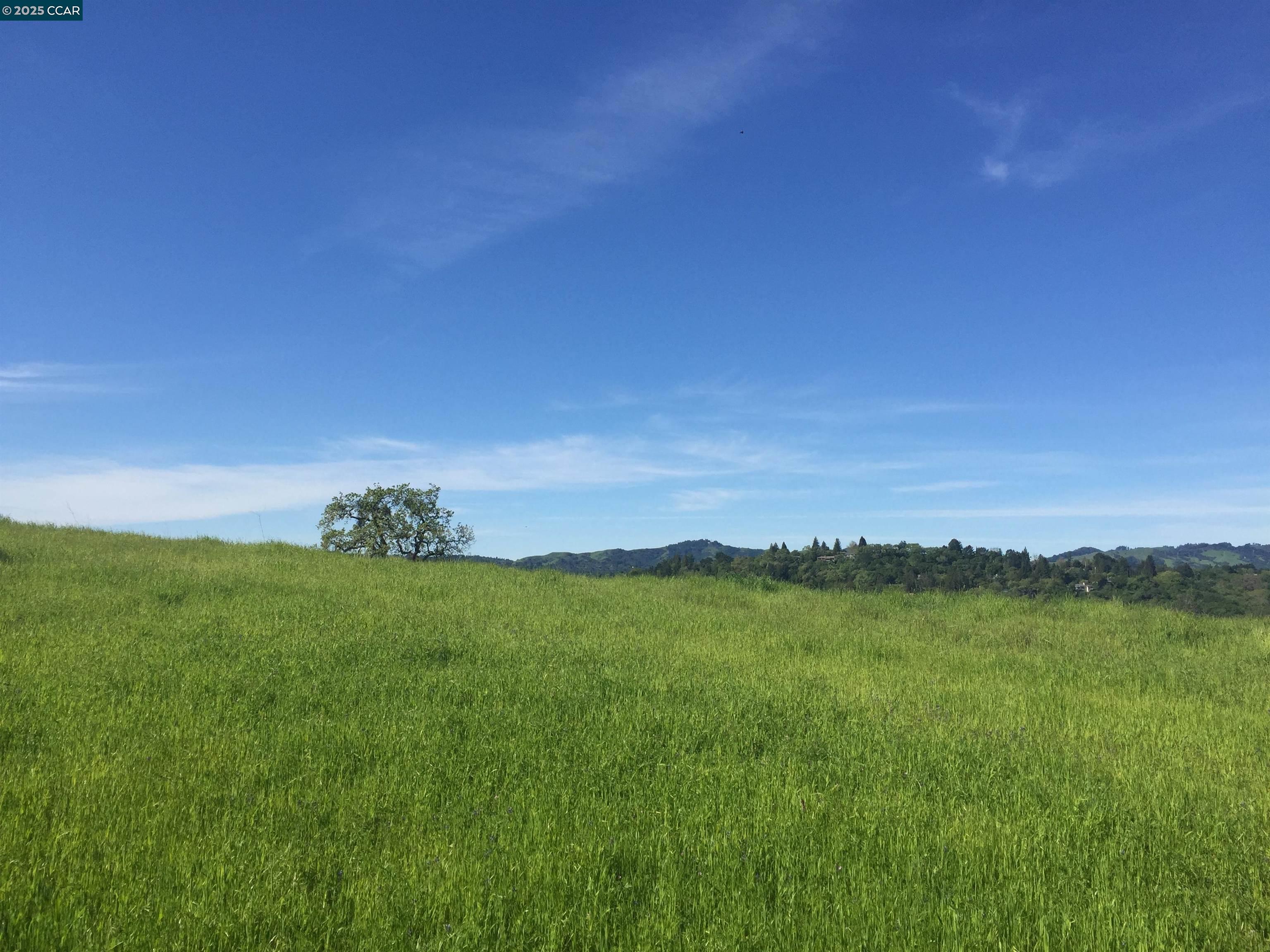 Detail Gallery Image 11 of 38 For 1240 Monticello Rd., Lafayette,  CA 94549 - – Beds | – Baths