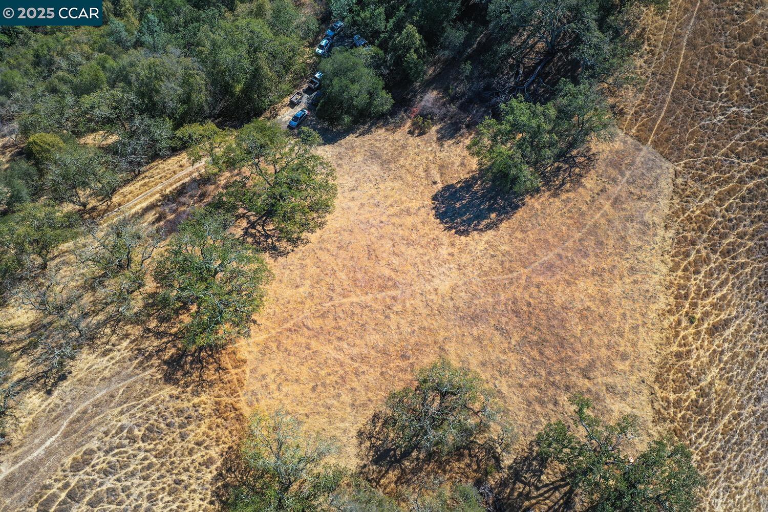 Detail Gallery Image 33 of 38 For 1240 Monticello Rd., Lafayette,  CA 94549 - – Beds | – Baths