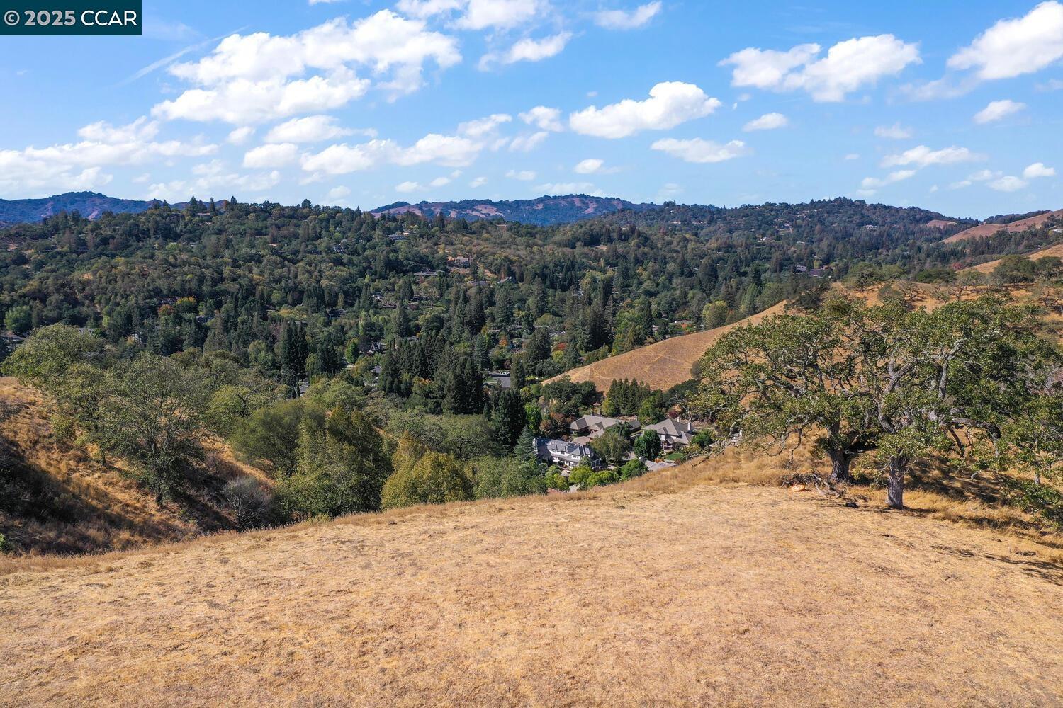 Detail Gallery Image 38 of 38 For 1240 Monticello Rd., Lafayette,  CA 94549 - – Beds | – Baths