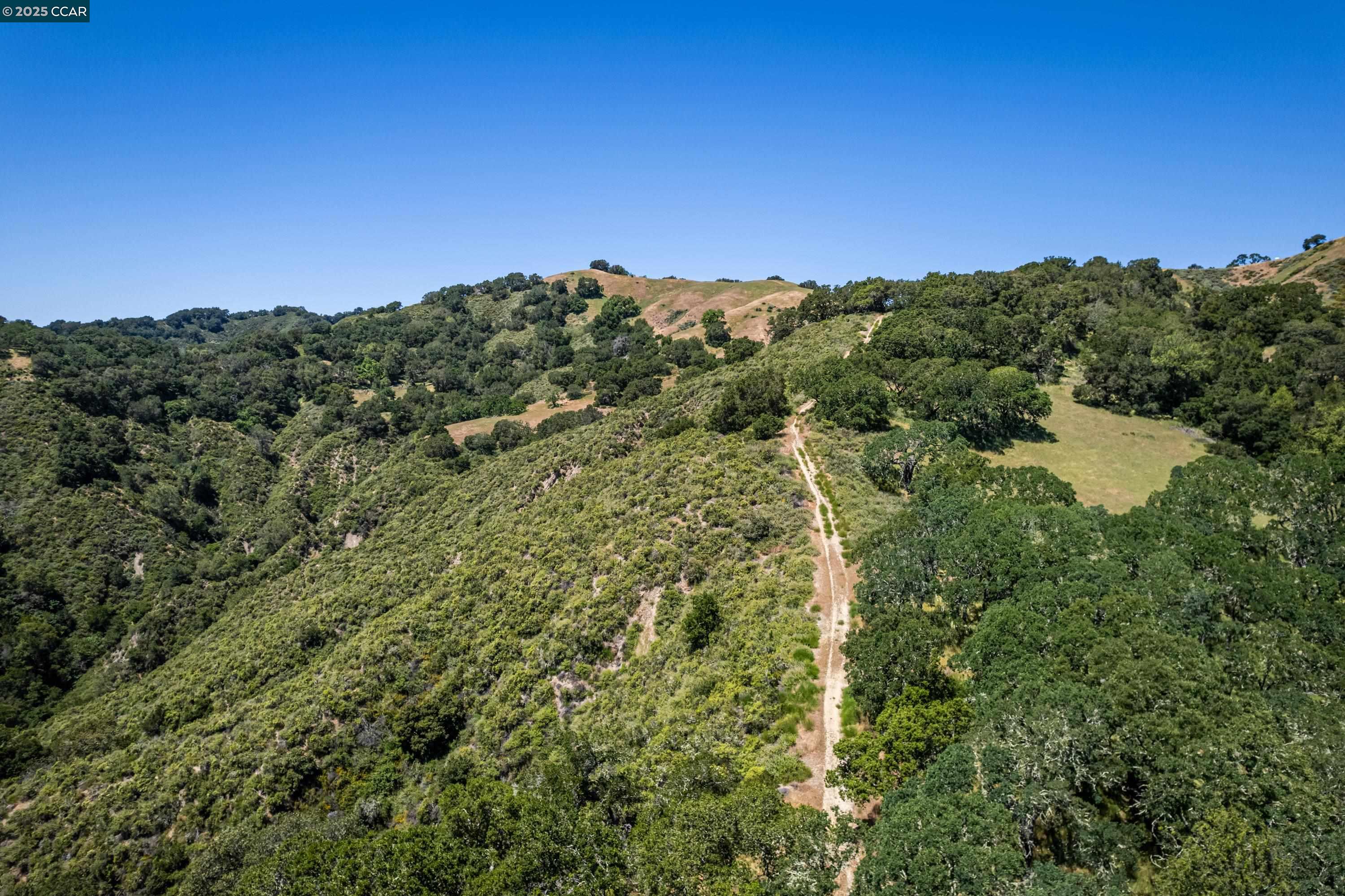 Detail Gallery Image 11 of 33 For 0 Monticello Rd., Lafayette,  CA 94549 - – Beds | – Baths