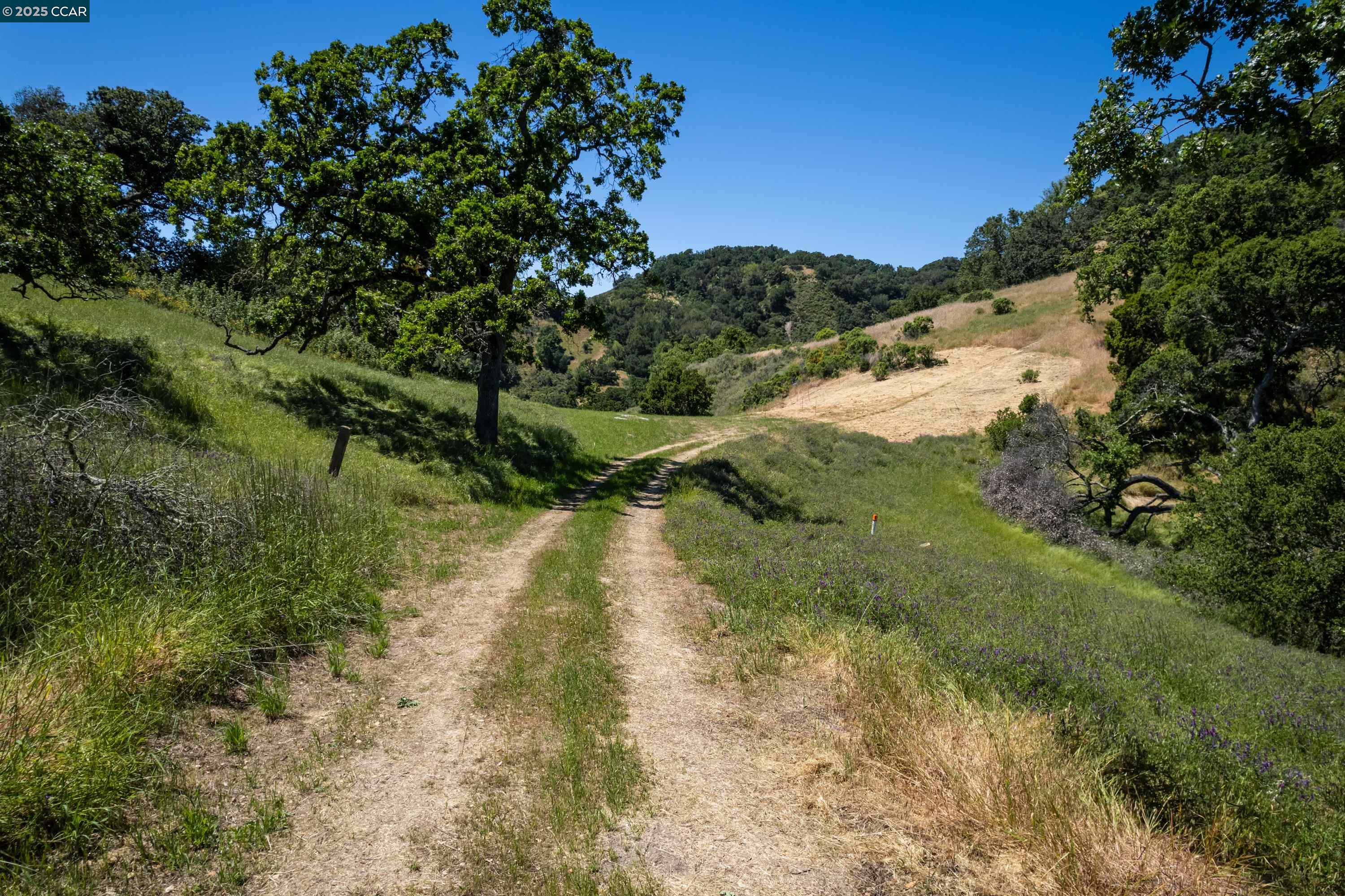 Detail Gallery Image 17 of 33 For 0 Monticello Rd., Lafayette,  CA 94549 - – Beds | – Baths