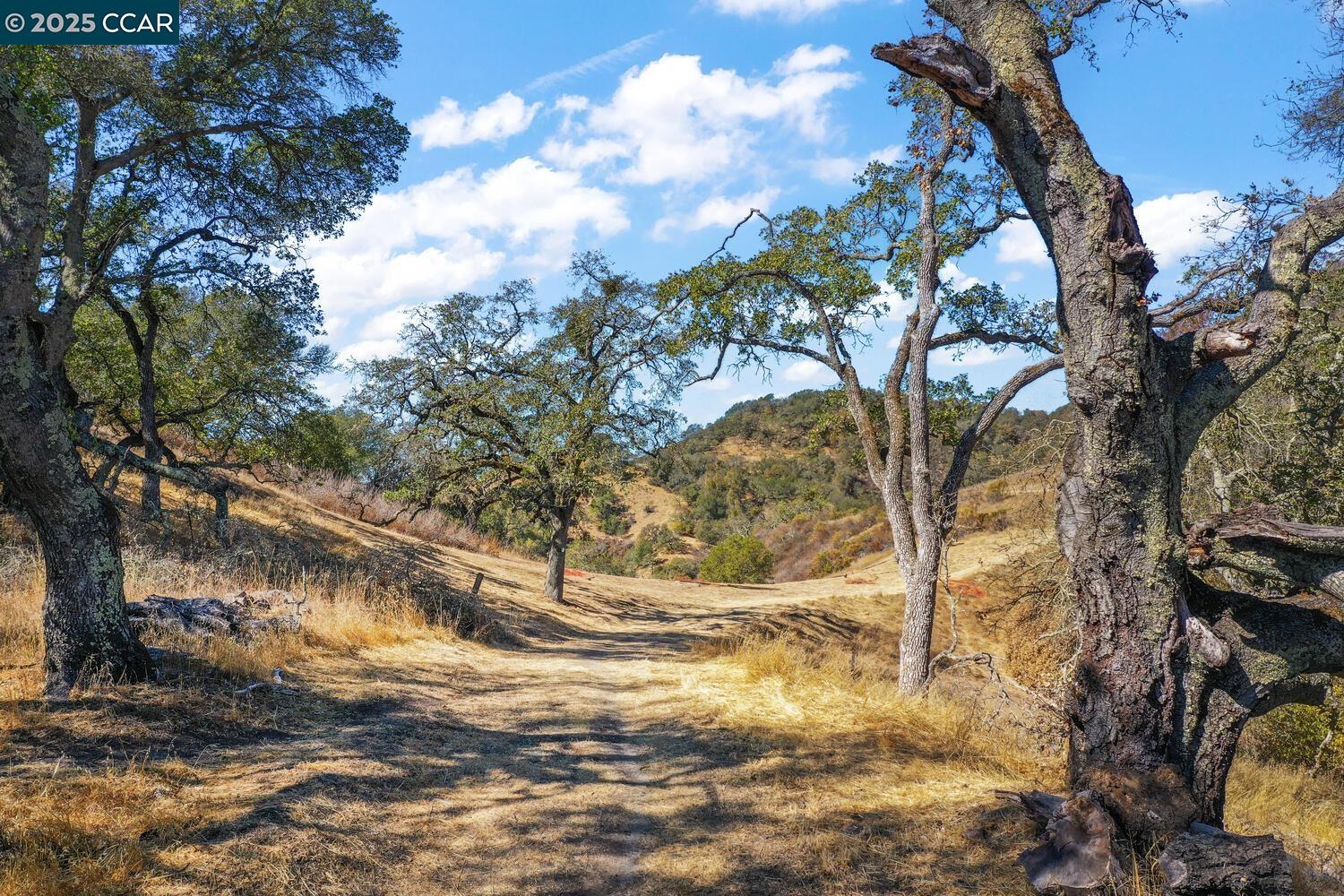 Detail Gallery Image 30 of 33 For 0 Monticello Rd., Lafayette,  CA 94549 - – Beds | – Baths