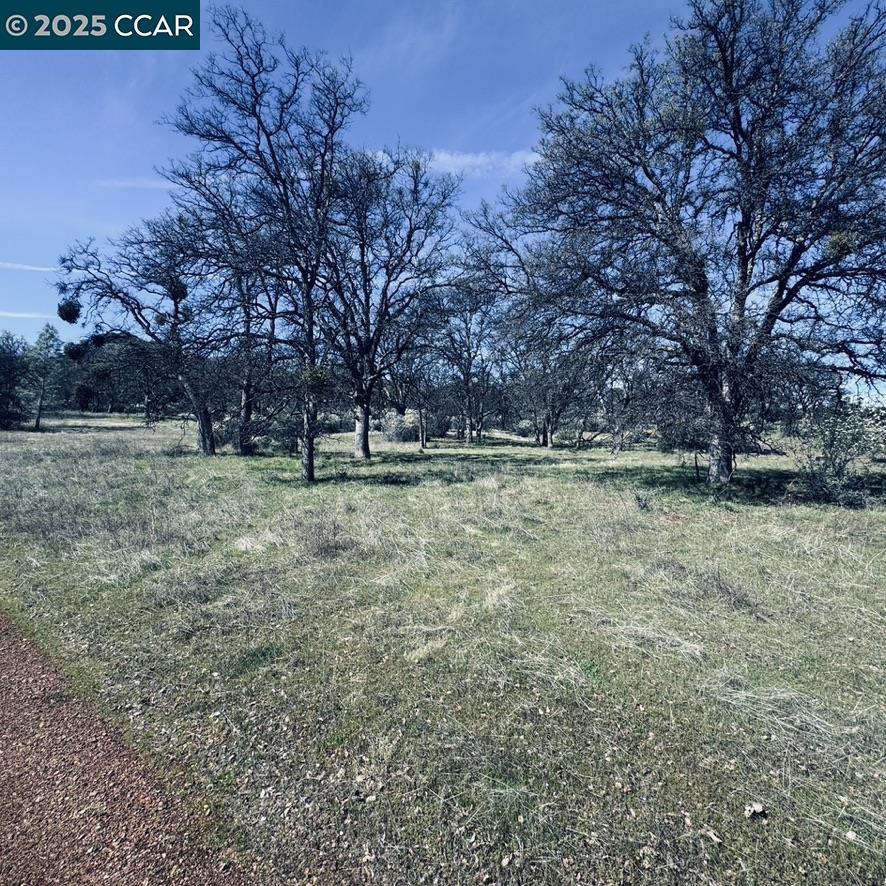 Detail Gallery Image 14 of 21 For 0 Lakeview Loop, Stonyford,  CA 95979 - – Beds | – Baths