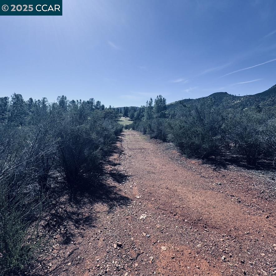 Detail Gallery Image 9 of 21 For 0 Lakeview Loop, Stonyford,  CA 95979 - – Beds | – Baths