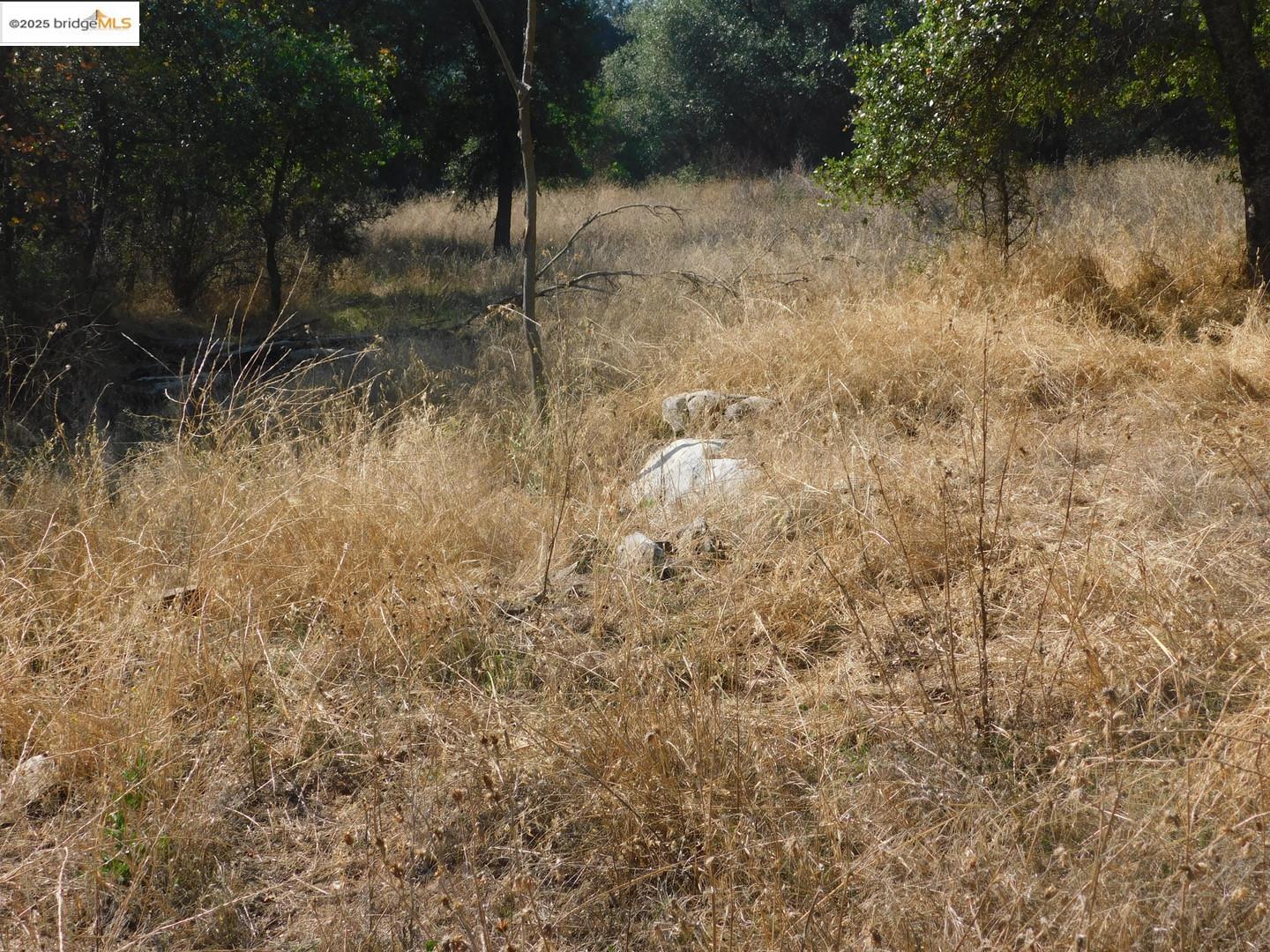 Detail Gallery Image 14 of 17 For 20556 Columbia Way, Sonora,  CA 95370 - – Beds | – Baths