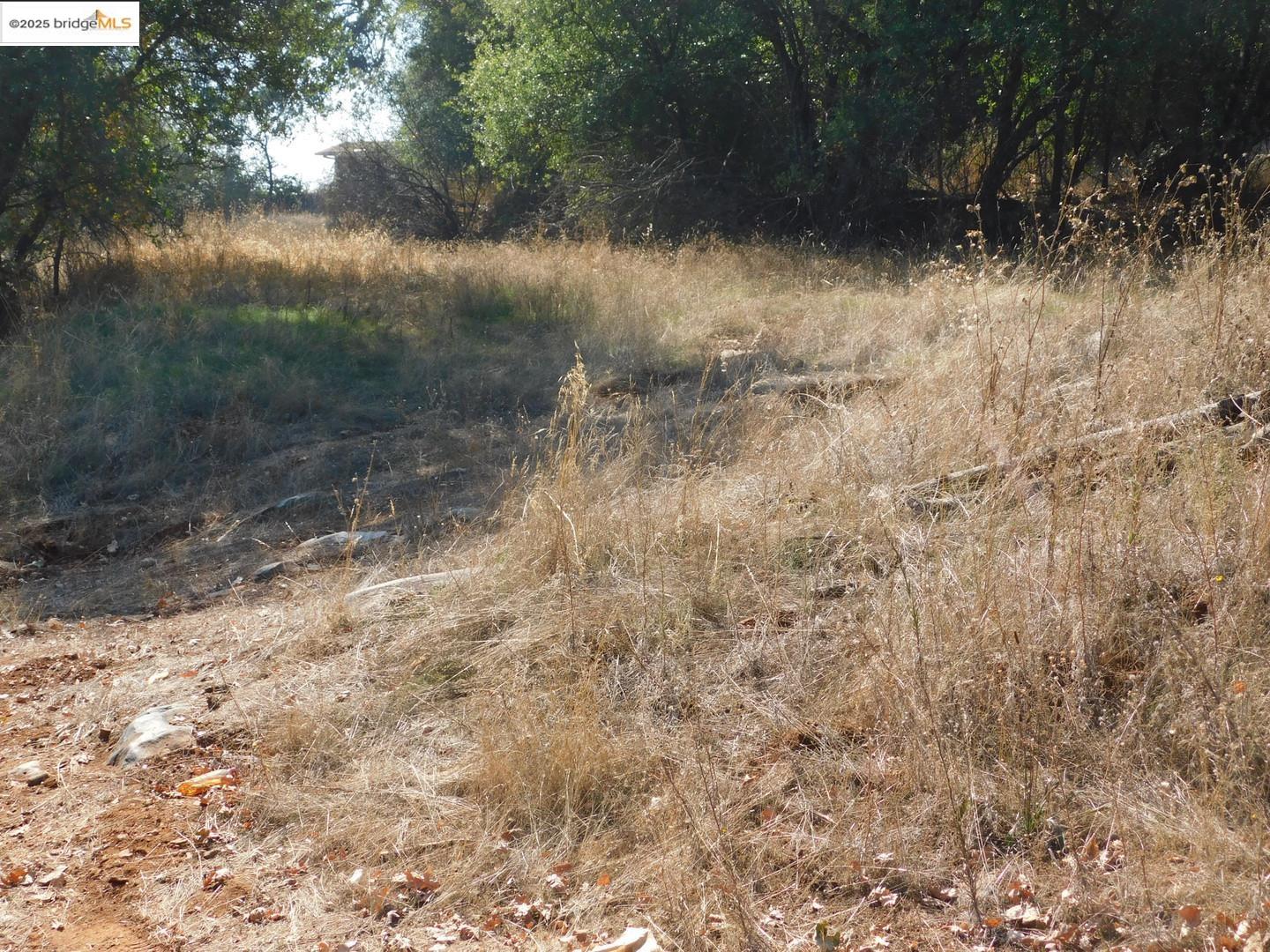 Detail Gallery Image 4 of 17 For 20556 Columbia Way, Sonora,  CA 95370 - – Beds | – Baths