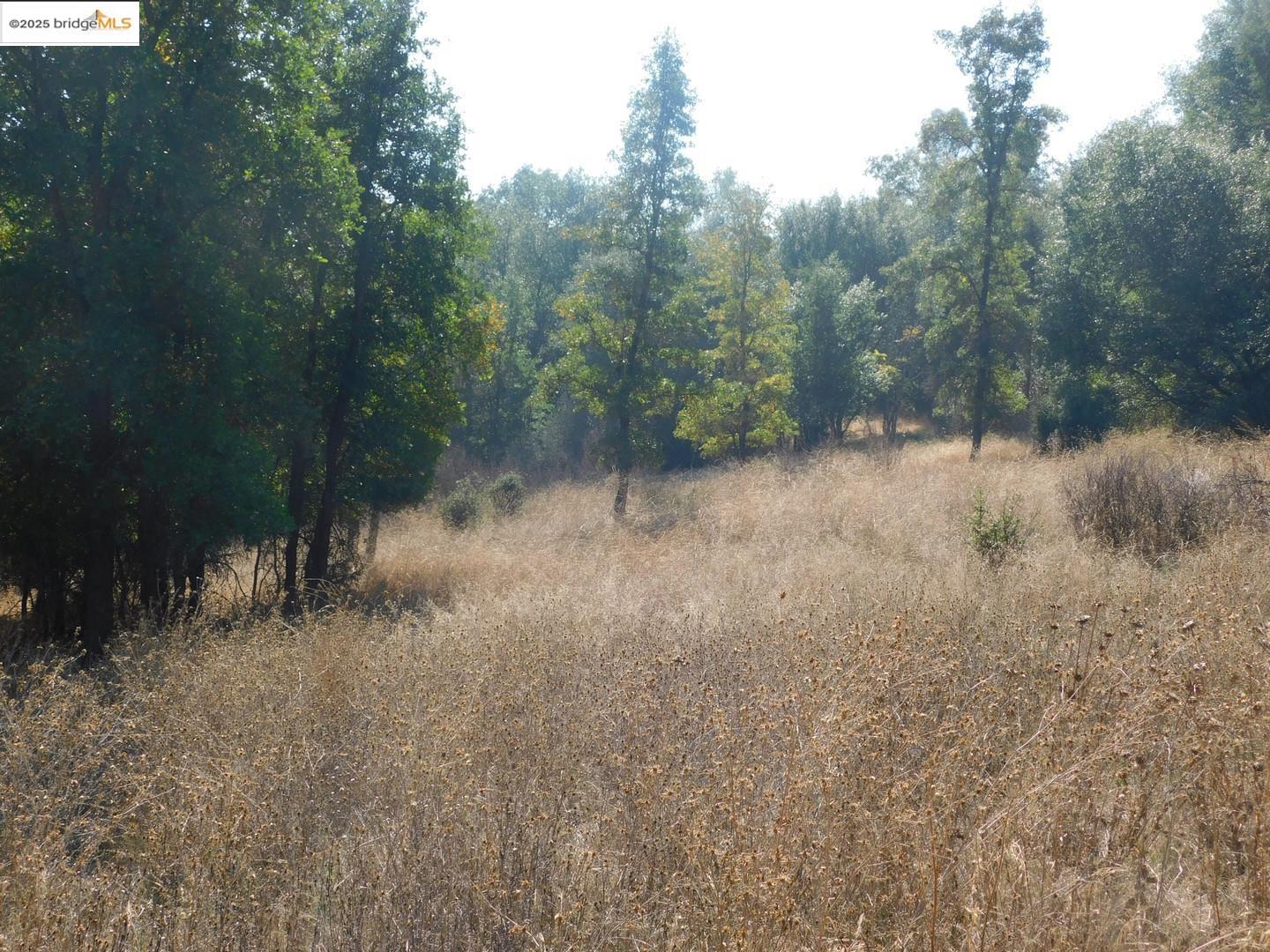 Detail Gallery Image 6 of 17 For 20556 Columbia Way, Sonora,  CA 95370 - – Beds | – Baths