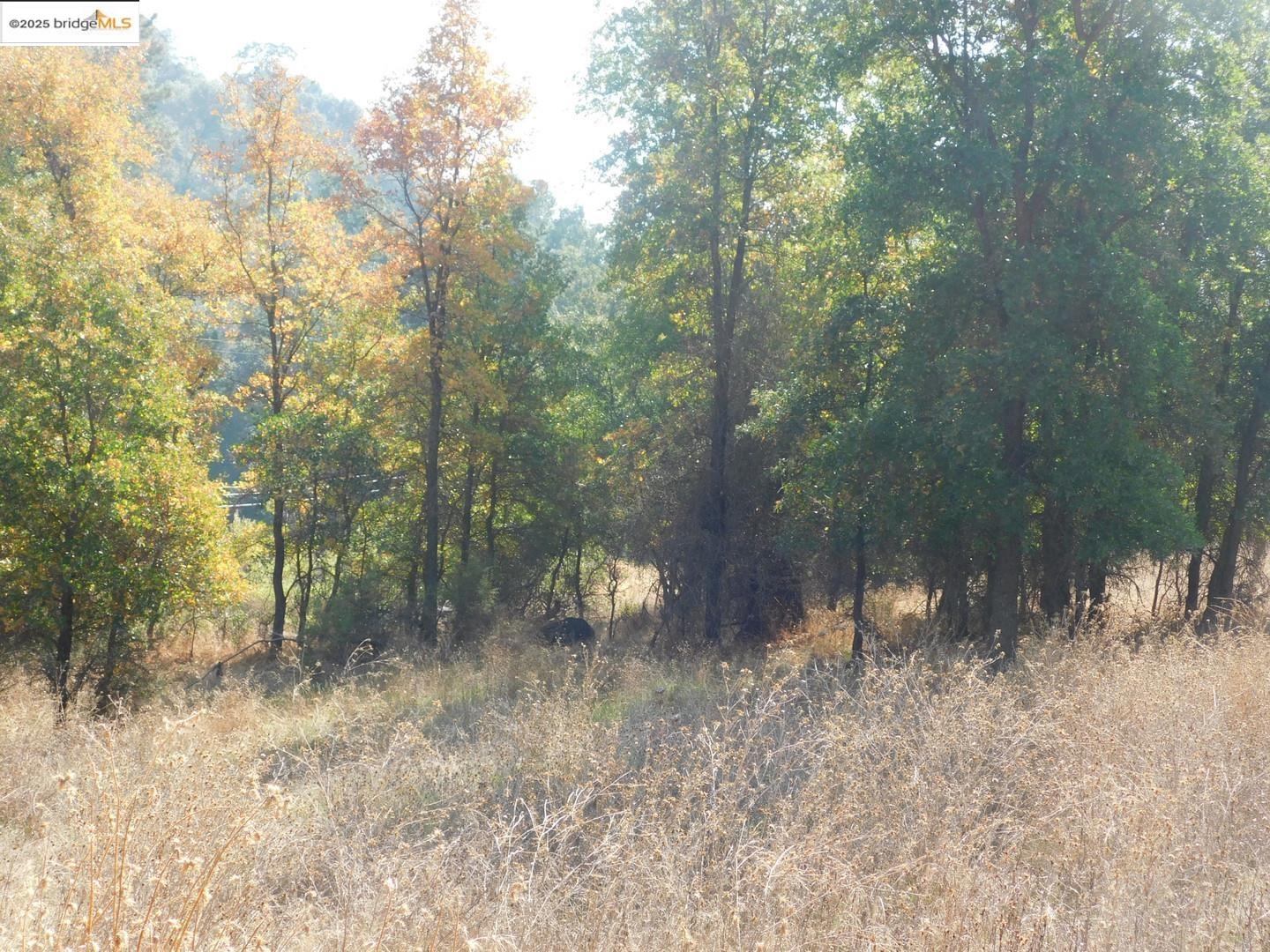 Detail Gallery Image 7 of 17 For 20556 Columbia Way, Sonora,  CA 95370 - – Beds | – Baths