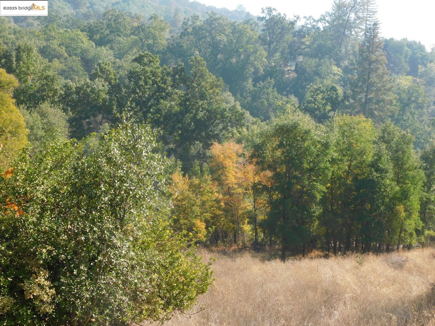 Detail Gallery Image 8 of 17 For 20556 Columbia Way, Sonora,  CA 95370 - – Beds | – Baths