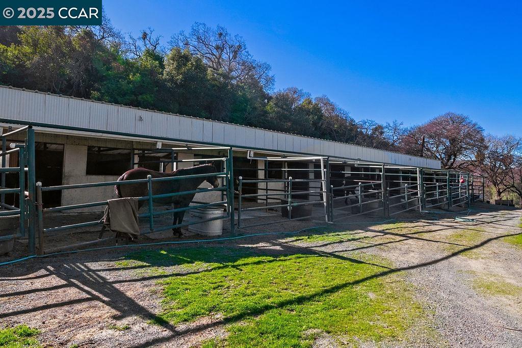 Detail Gallery Image 35 of 48 For 1635 Lower Trail Rd, Clayton,  CA 94517 - 3 Beds | 2/1 Baths